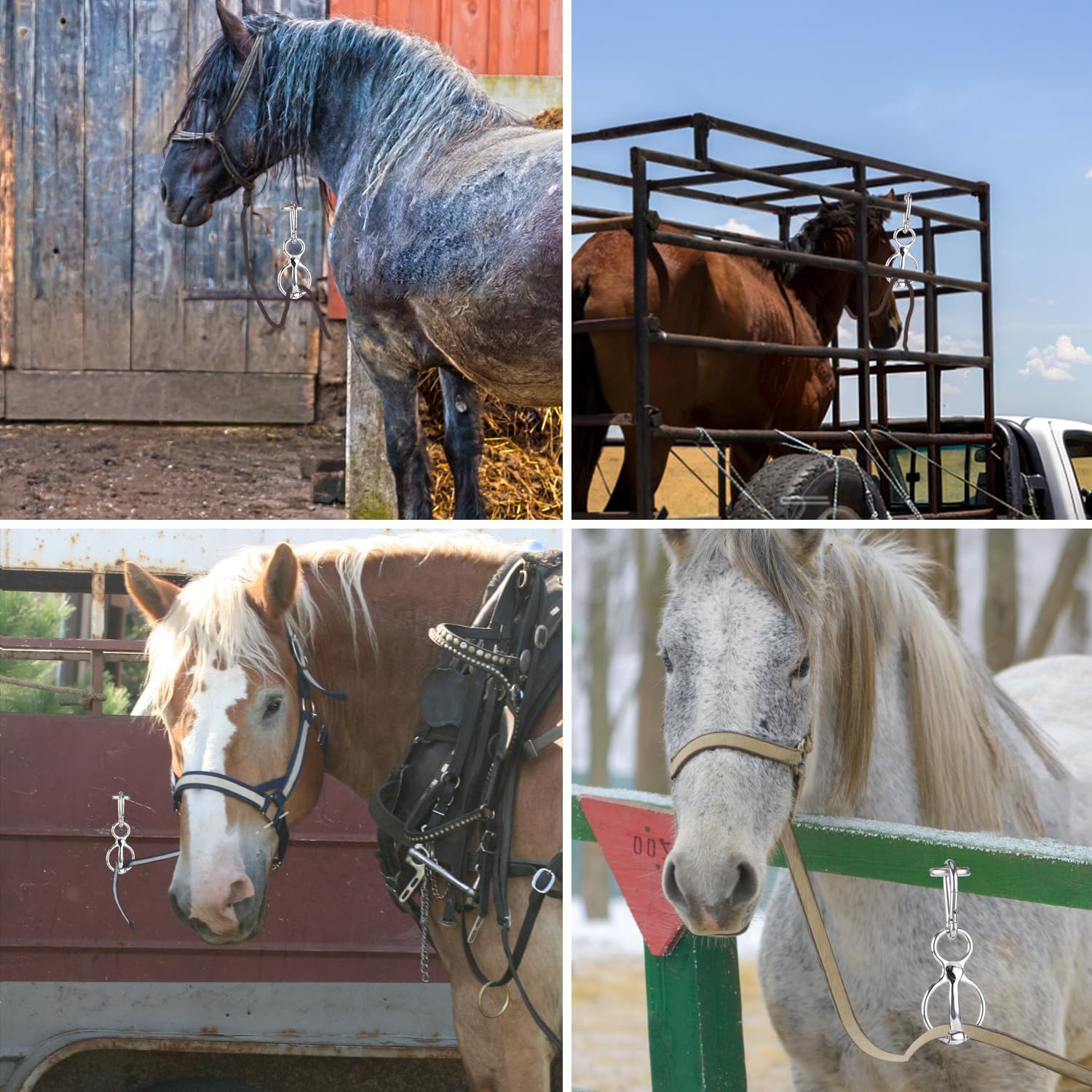 3Pcs Heavy Duty Horse Tie Ring, Durable Stainless Steel Tie Ring for Horses with Eye Bolt Horse Tie Post Quick Release Safety Horse Accessories image number 4