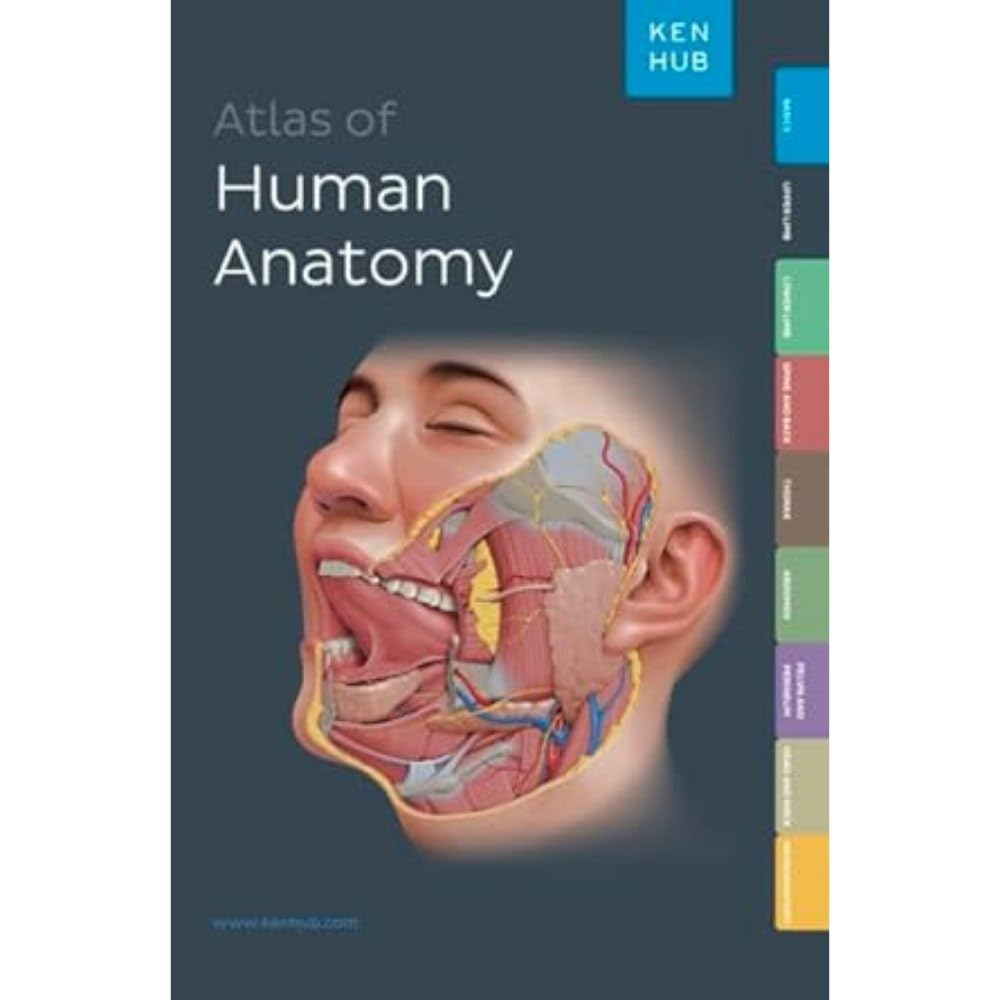 Kenhub Atlas of Human Anatomy image number 1