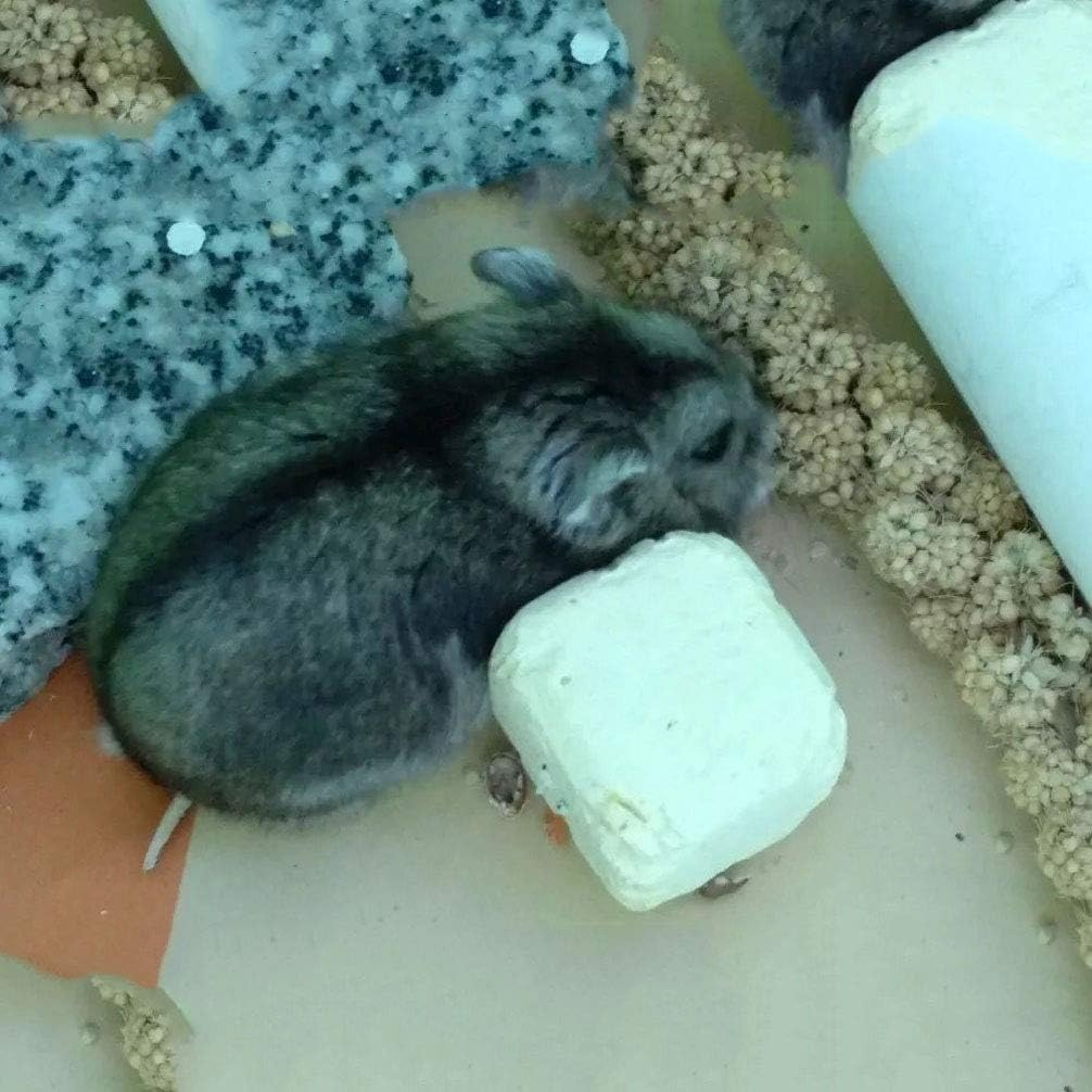 Natural Organic Gold Spray Millet for Birds Hamster Squirrel,12 Count