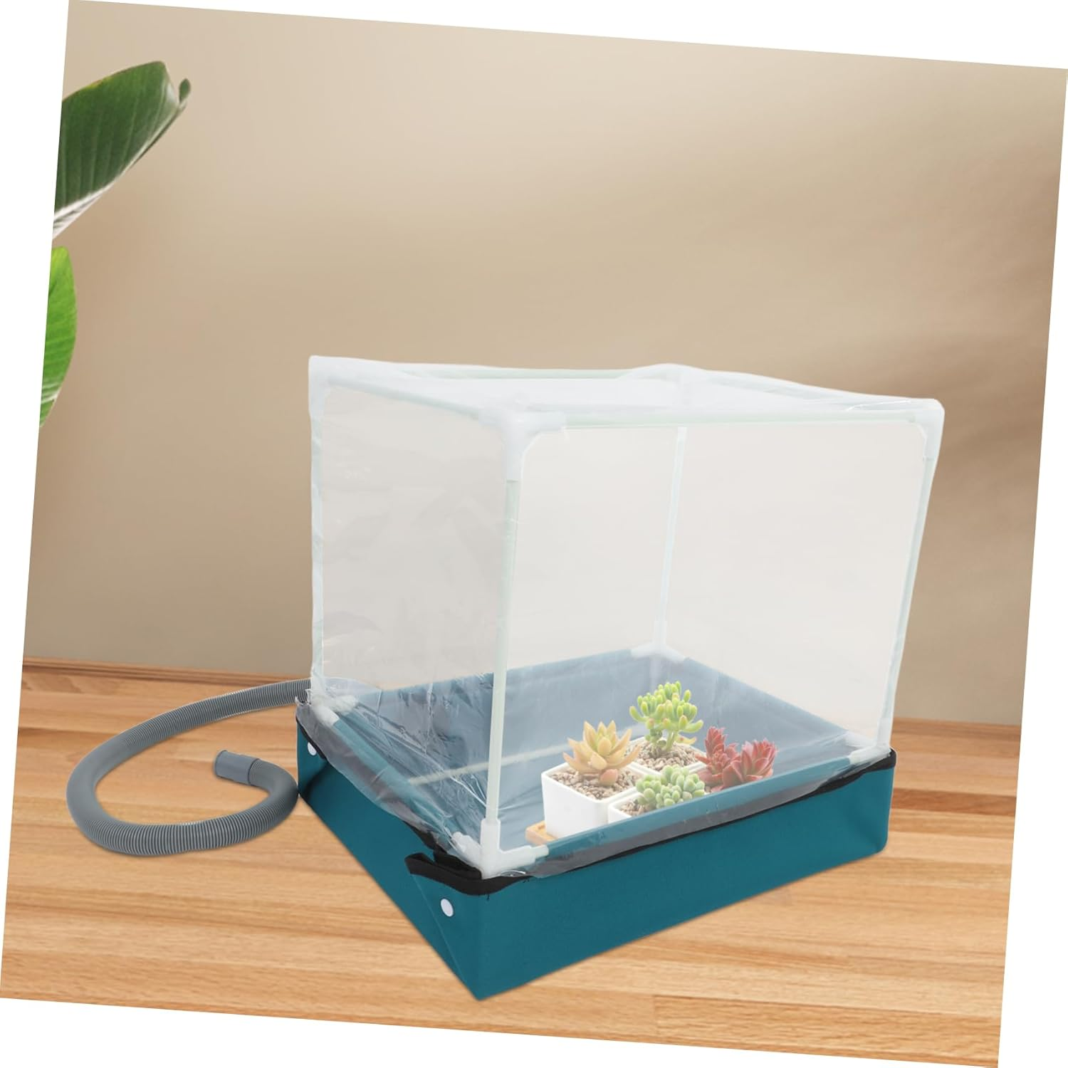 Succulent Planting Box Mini Greenhouse Indoor Plant Container Tabletop Plant Shelter Mushroom Fruit Cultivation Supplies image number 2