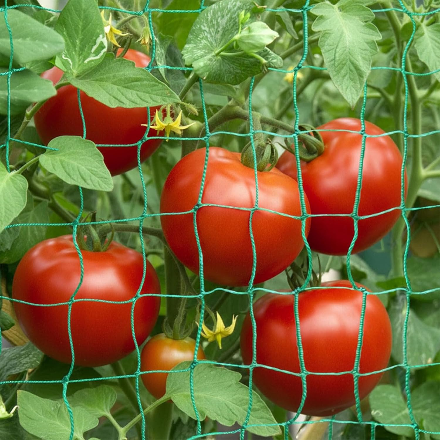 Heavy Duty Garden Trellis Netting for Climbing Plants &ndash; Durable Polyethylene (PE) Garden Netting Compatible with Cucumber, Bean and Tomato, Reusable Plant Support,Rectangular Netting by Ruibex