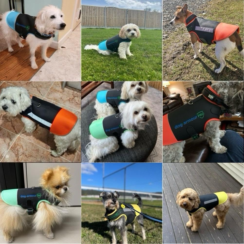 Dog Armour PRO Protective Dog Harness Vest for Dogs &ndash; Shield Your Pet from Raptor and Animal Attacks &ndash; Adjustable, Choke Free, Waterproof, Reflective (XXS, Blue) image number 5