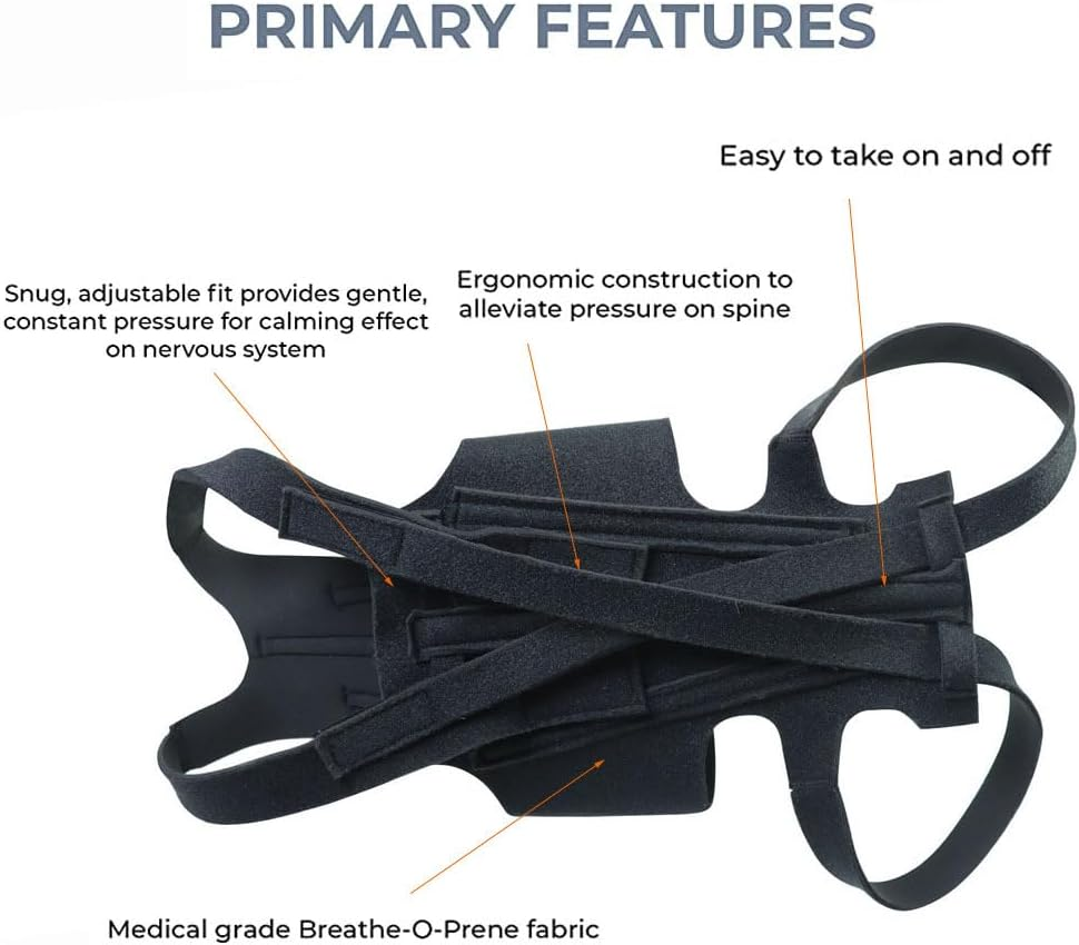 Dog Back Brace for Dog Back Pain, Arthritis, Good for Dachshunds, Corgies, Frenchies (S) image number 4