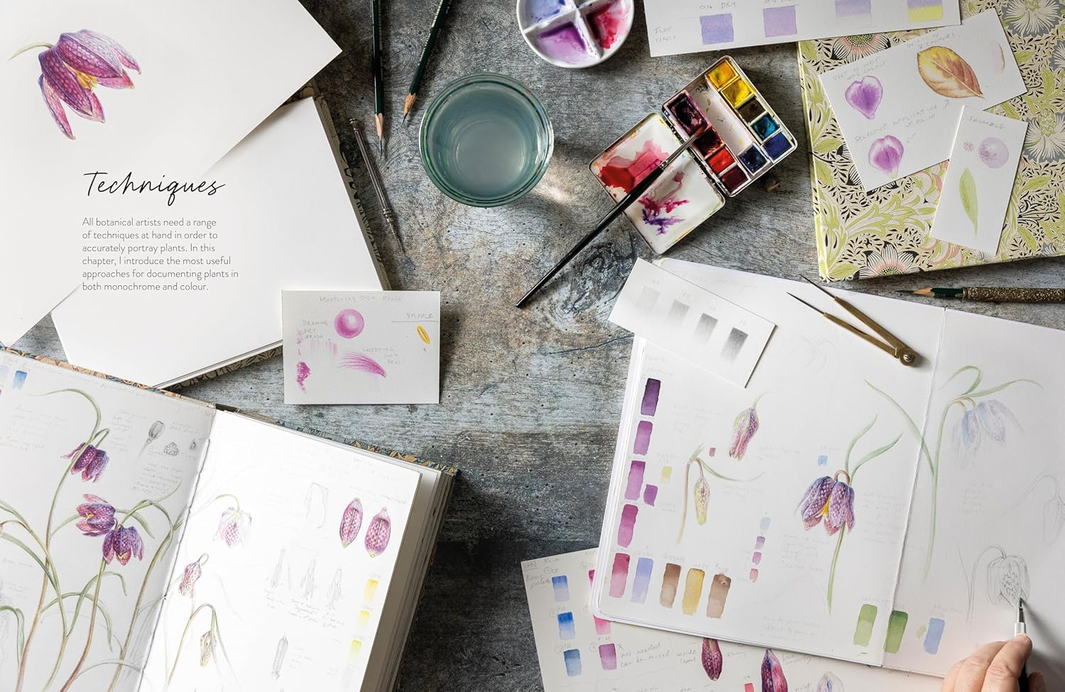 Sketching Nature: the Beginner'S Guide to Keeping a Botanical Sketchbook image number 4