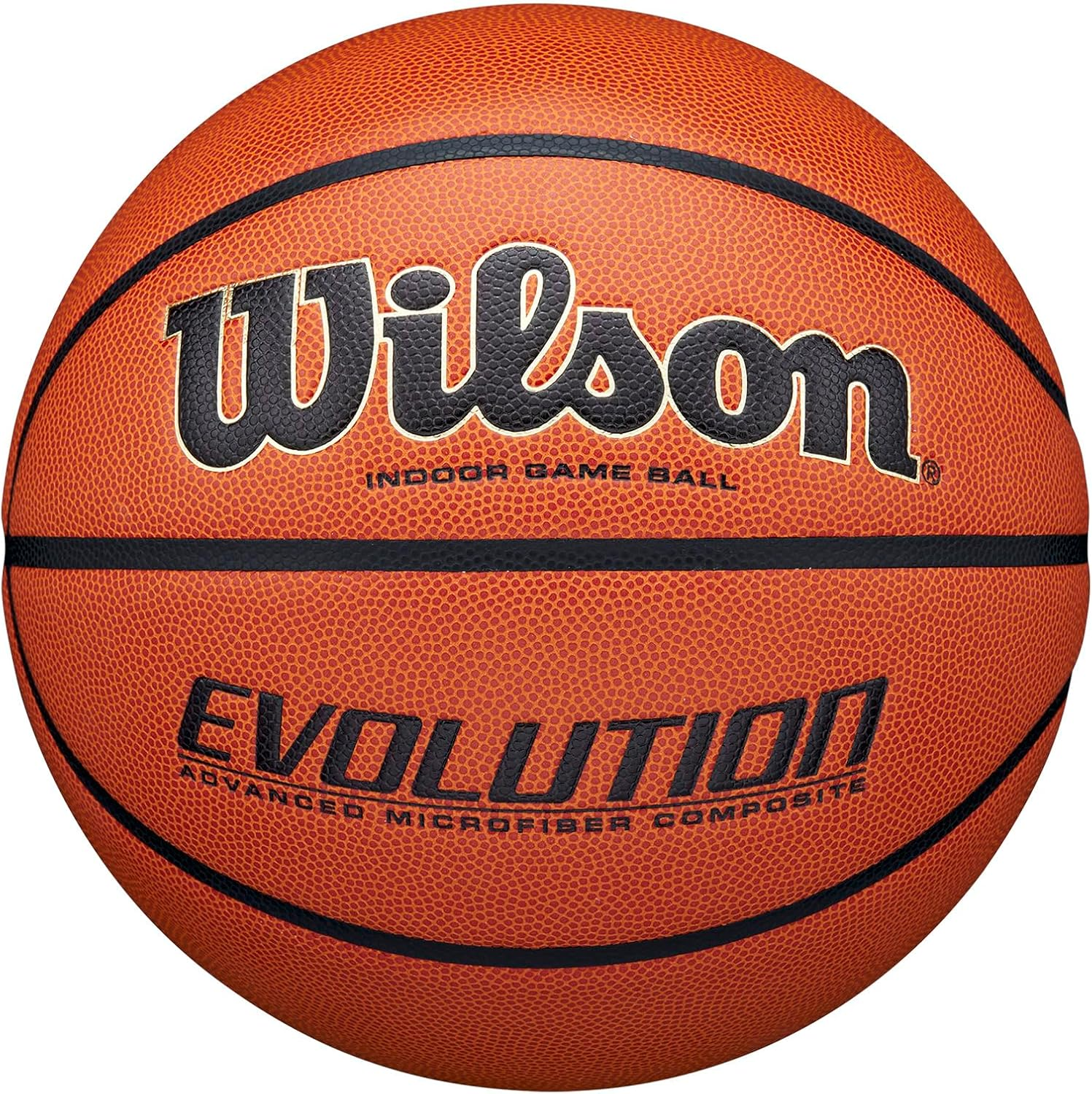 Wilson Evolution Game Basketball