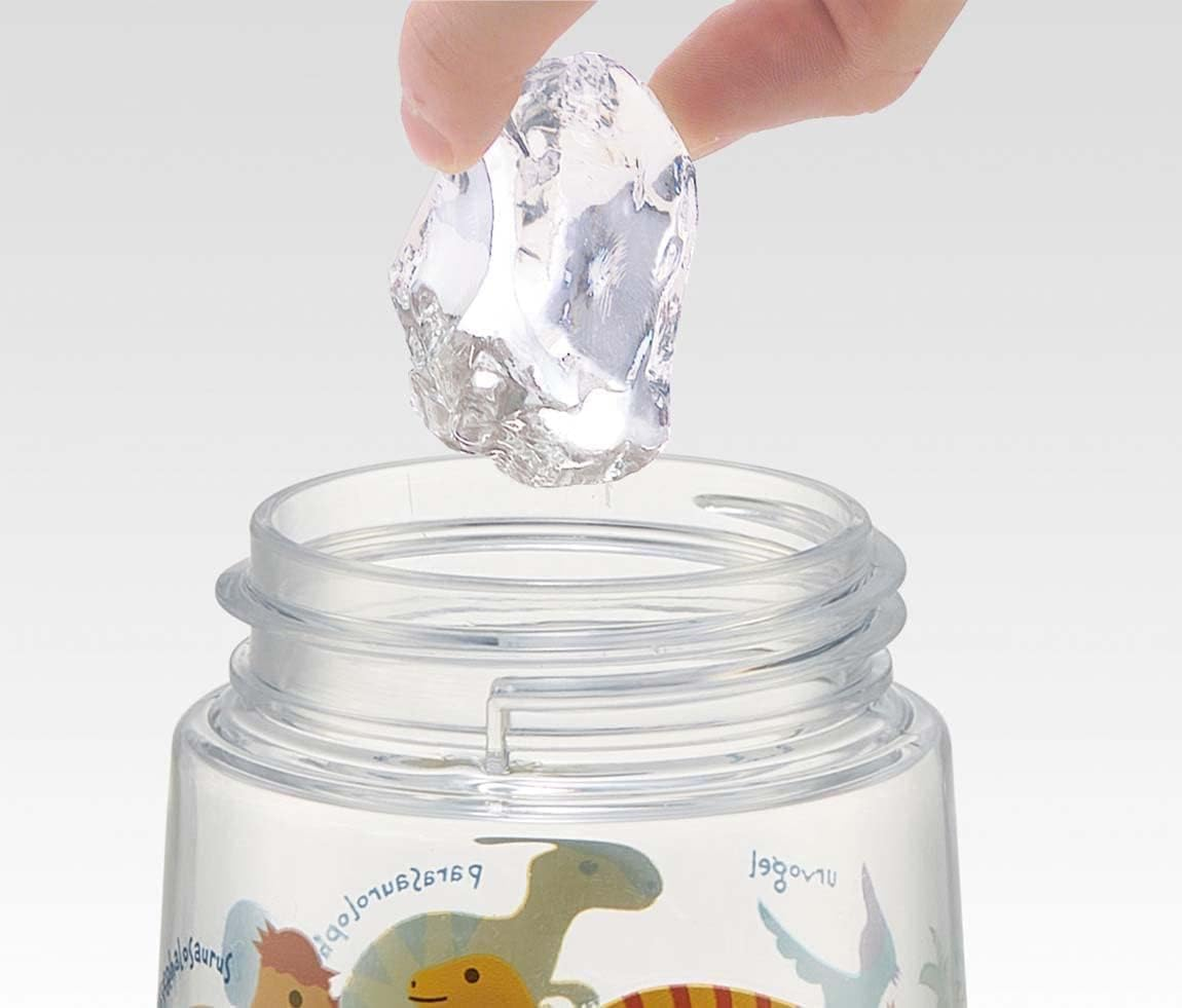 Skater PDSH5-A Dinosaurus Picture Water Bottle, 16.2 Fl Oz (480 Ml), Clear Bottle with Straw, for Kids and Boys - Cups image number 5