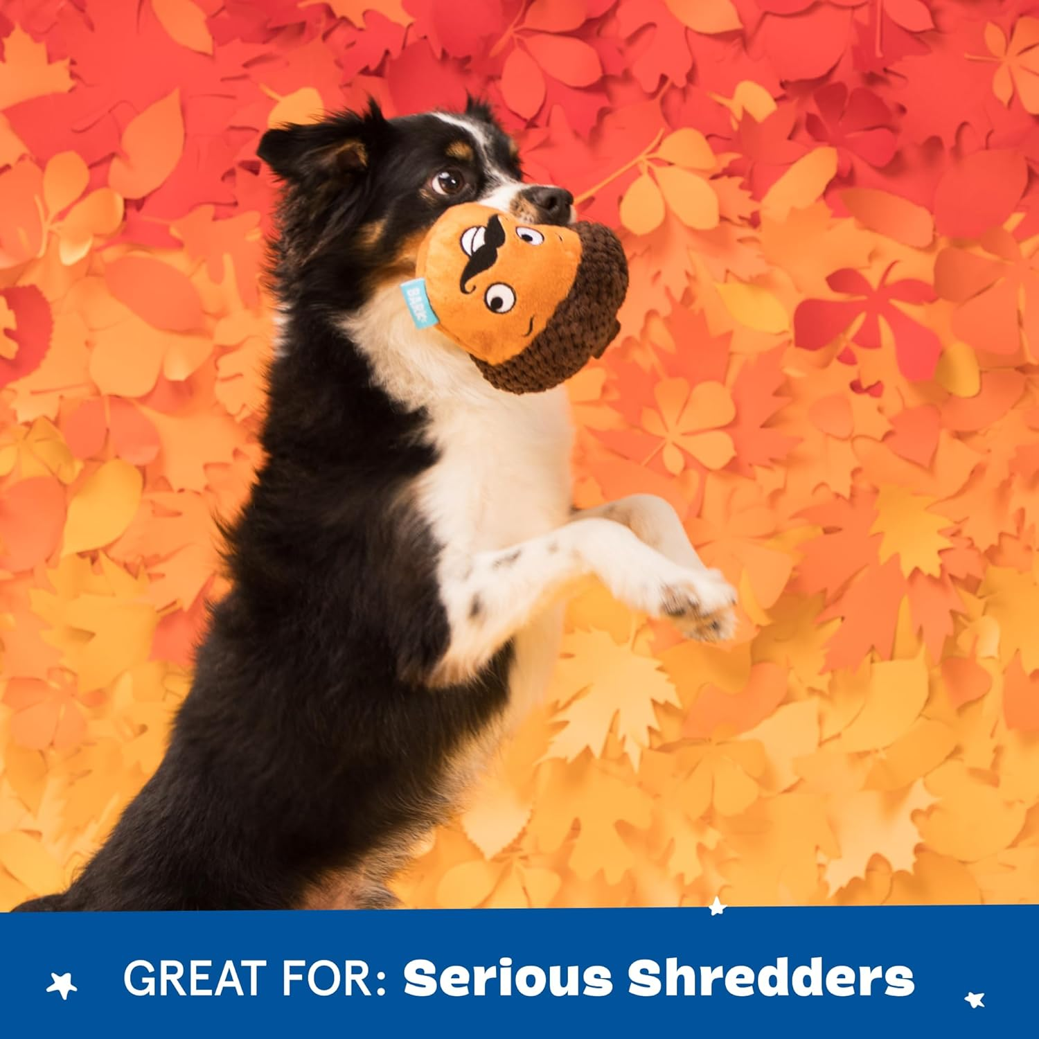 Barkbox Monsieur Acorn for Medium to Large Dogs, Plush, Bonus Free Toy within a Toy image number 2