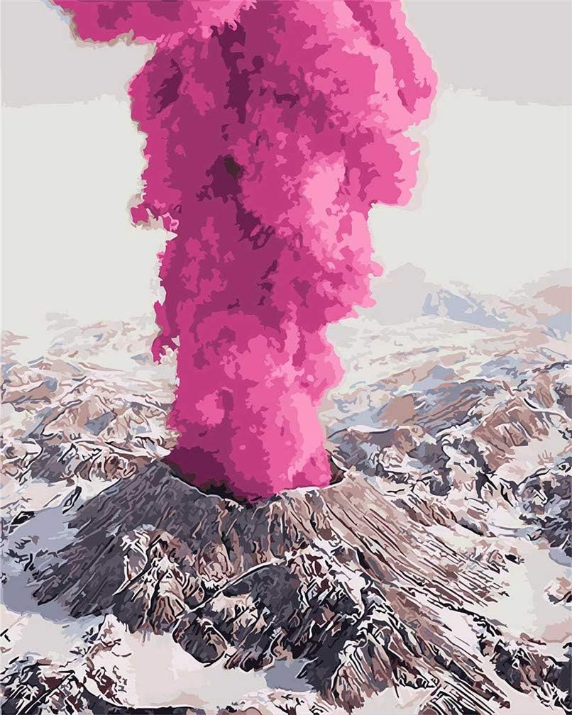 Meecaa Paint by Numbers Fish Goldfish Animal Lotus Kit for Adults Beginner DIY Oil Painting 16X20 Inch (Fish, No Frame) image number 6