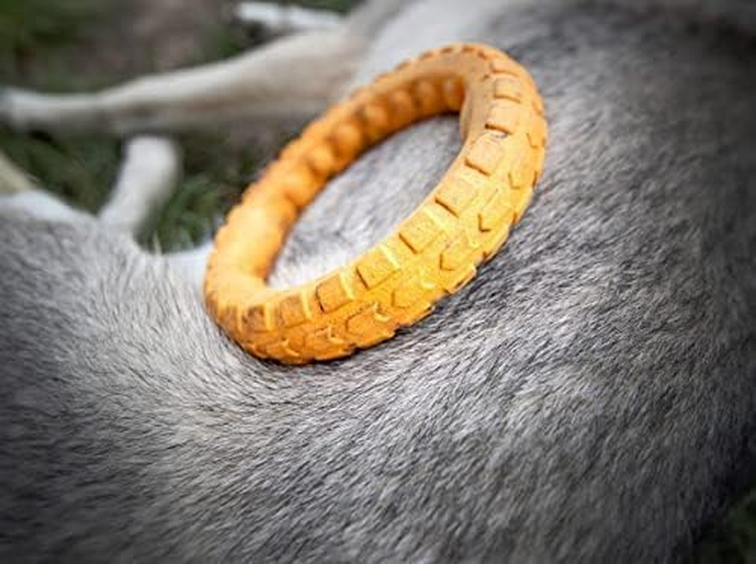 Spunky Pup Gnaw Guard Ring Chew Dog Toy, Large image number 2