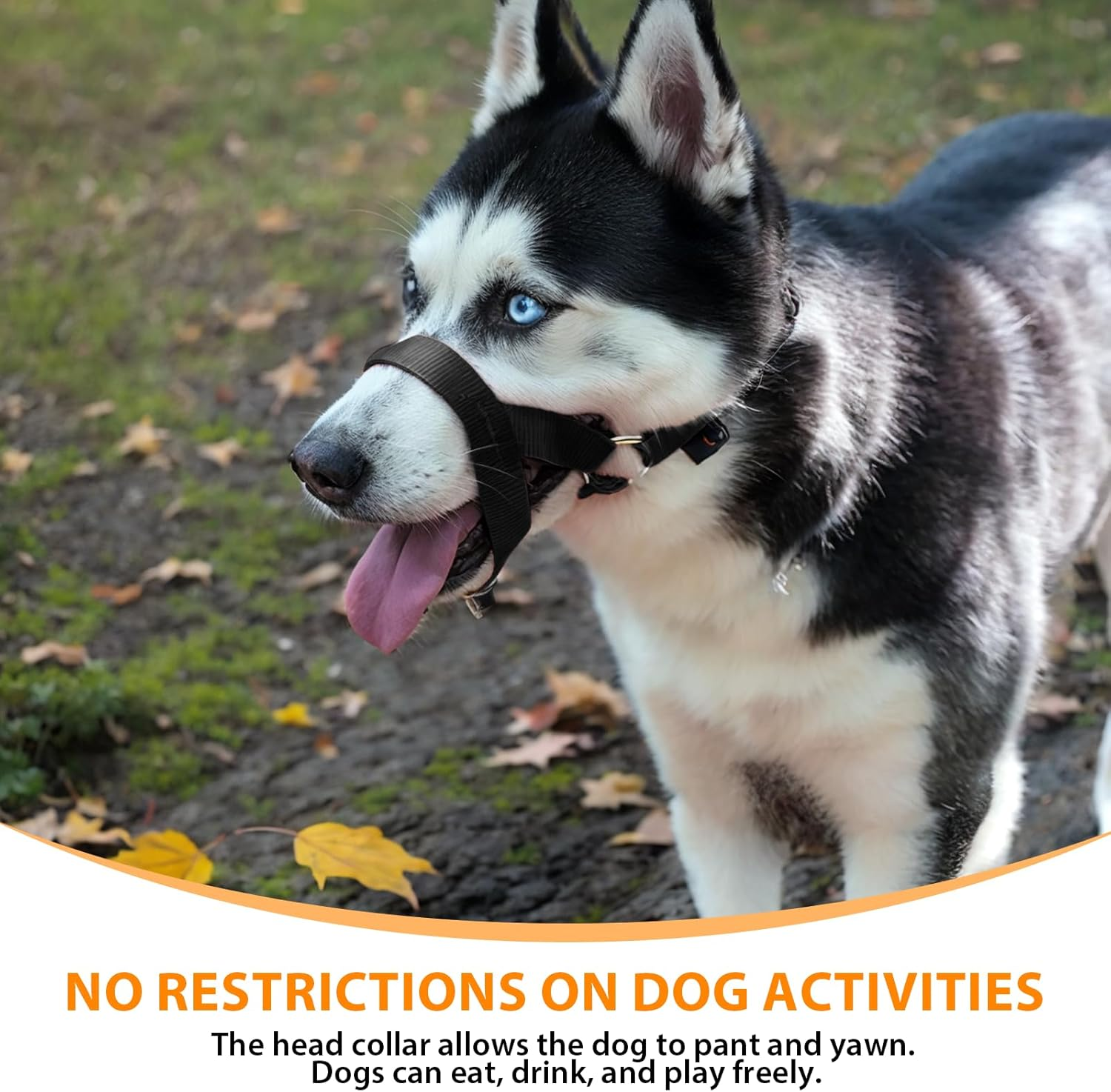 Barkless Dog Head Collar, No Pull Training Tool for Dogs on Walks, Includes Free Training Guide, 5 (M, Black) image number 3