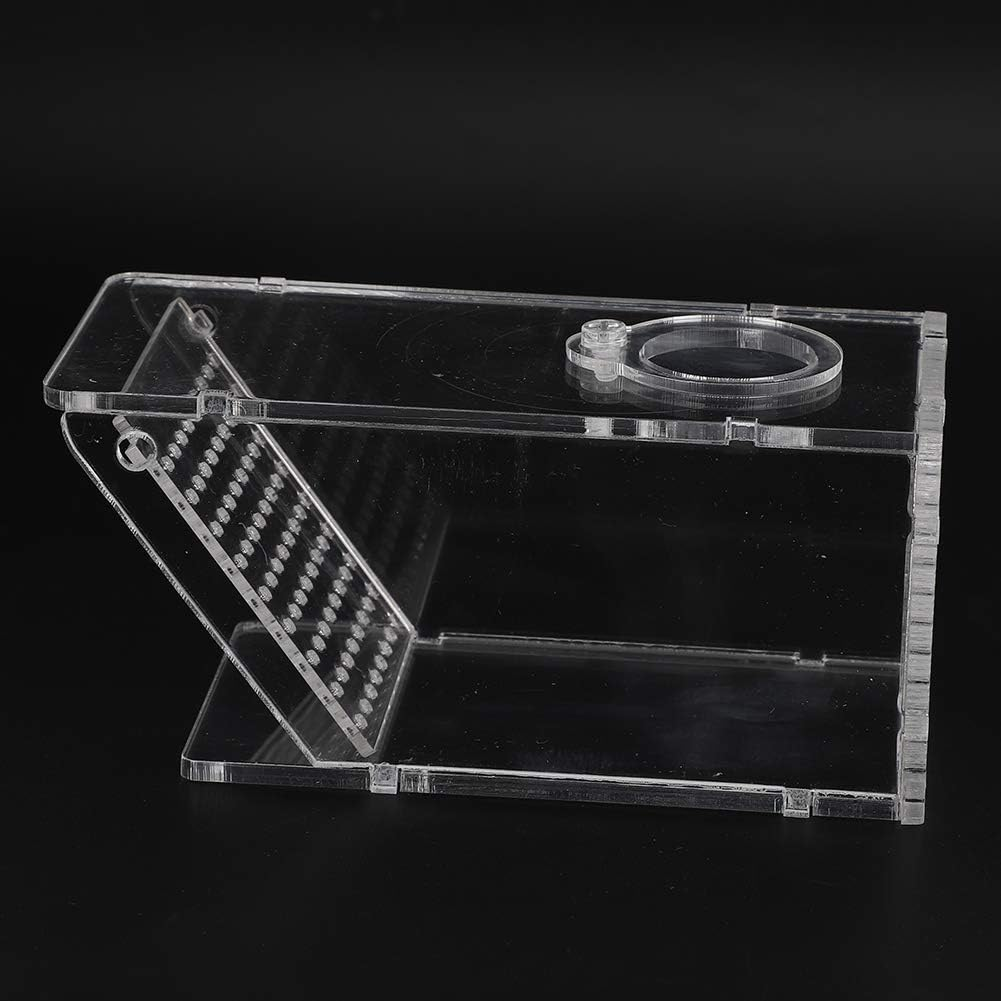 Crab Fish Trap, Crab Trap Catcher Box Fish Tank Mini Freshwater Catcher Box Aquarium Crawfish Tank Fishing Bait Cage Transparent Acrylic Holder for Catching Shrimp image number 4