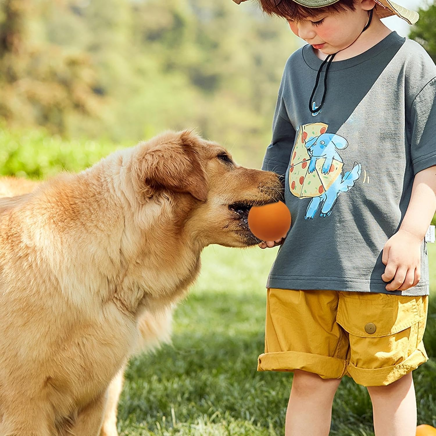 Squash Ball Beginner, High Elasticity Squash Balls, Kids Squash Balls, Outdoor Sports Rubber Ball, Professional Training Squash Ball, High Visibility Squash Ball, Hollow Squash Ball, Squash Tr image number 4