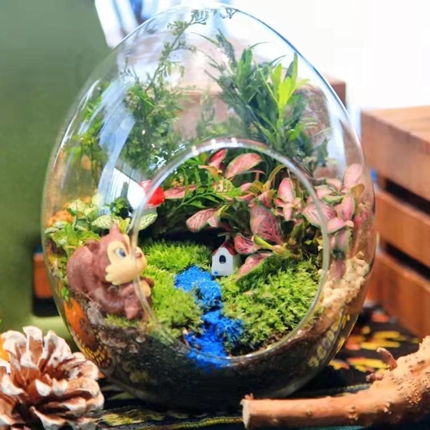 Sphagnum Moss for Plants, Natural Orchid Soil, Floral Arranging Supplies for Houseplant Gardening Aquarium Tank Pond Floral Crafts Reptile Terrariums Outdoor Decoration image number 4