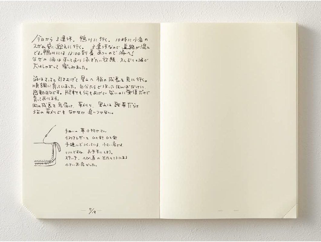 Midori 15312006 MD Notebook, Journal, A5, 1 Page per Day, Unruled A