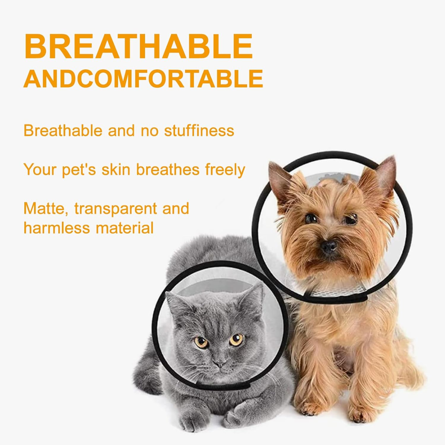 DAJING Cat Cone - Lightweight Plastic Elizabethan Collar for Cats, Mini Dogs, and Rabbits | Prevent Licking and Biting | Soft and Comfortable | Suitable for Recovery and Grooming (M, Black) image number 1