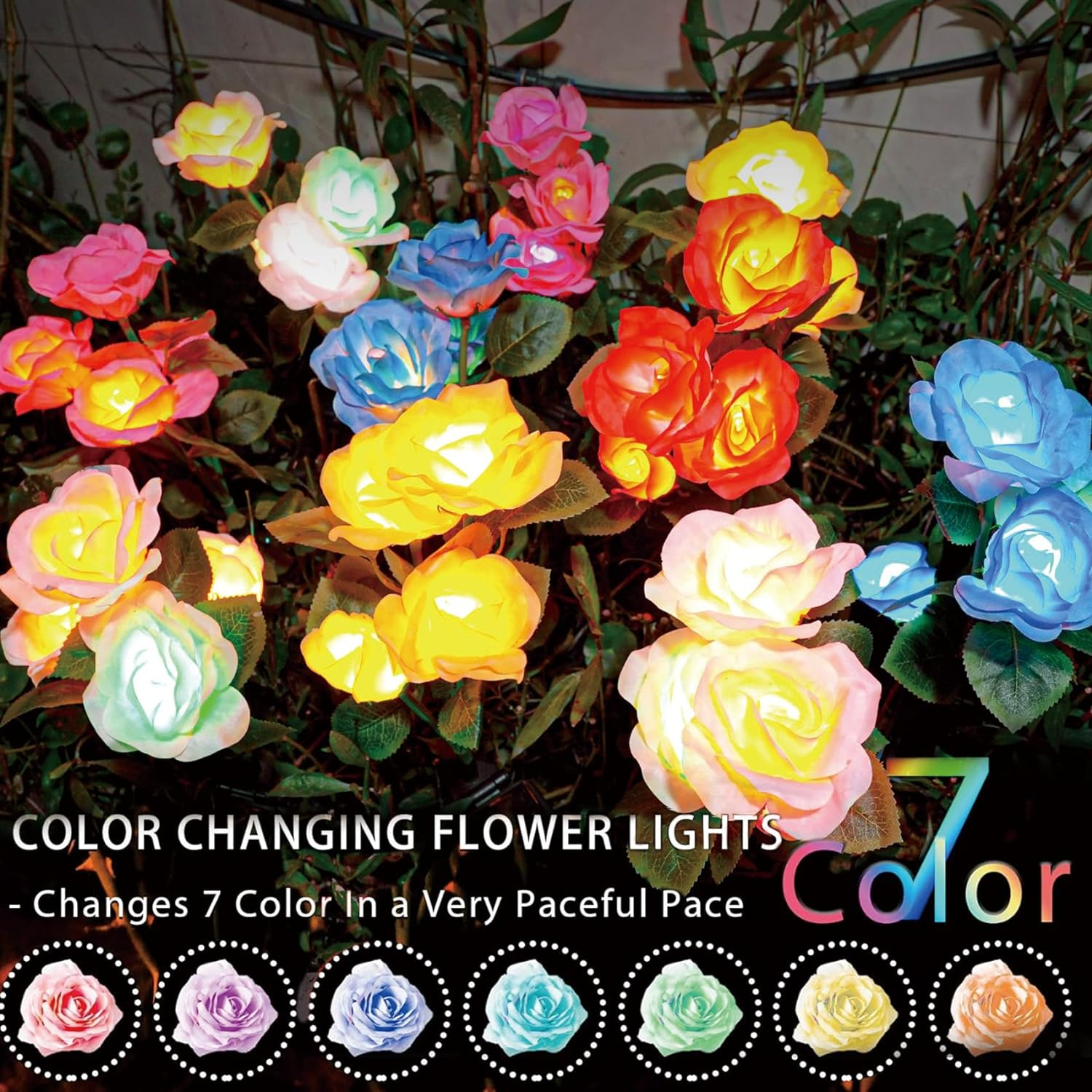 TONULAX Solar Garden Lights - Newest Version Solar Lights Outdoor, 7 Color Changing Rose Lights for Yard,Garden Decoration, Enlarged Solar Panel, More Realistic Rose Flower (2 Pack, Red and White)
