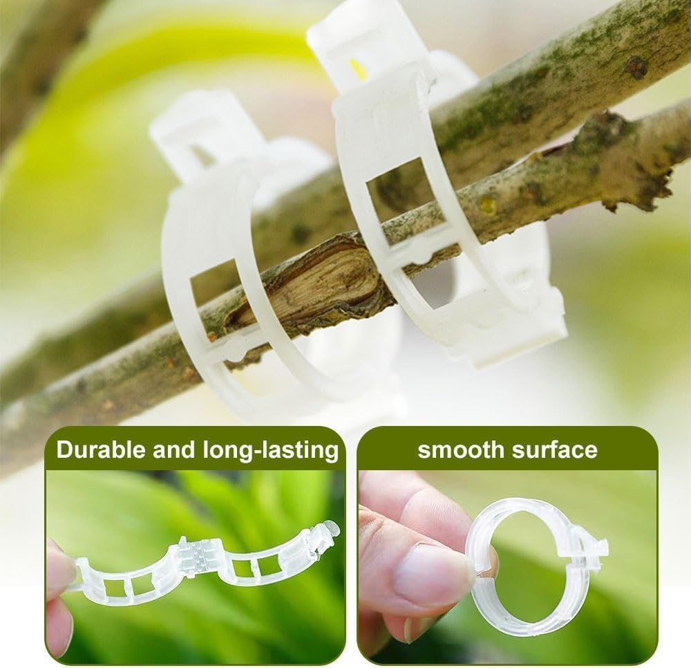 Secured Plastic Plant Clip, Plant Support Clips Reusable Garden Clips, Plastic Trellis Clips Plant Support Clips Tomato Grape Vine Vegetables Plant Fixing Clips (Green - 100Pcs) - Black - 100Pcs image number 5