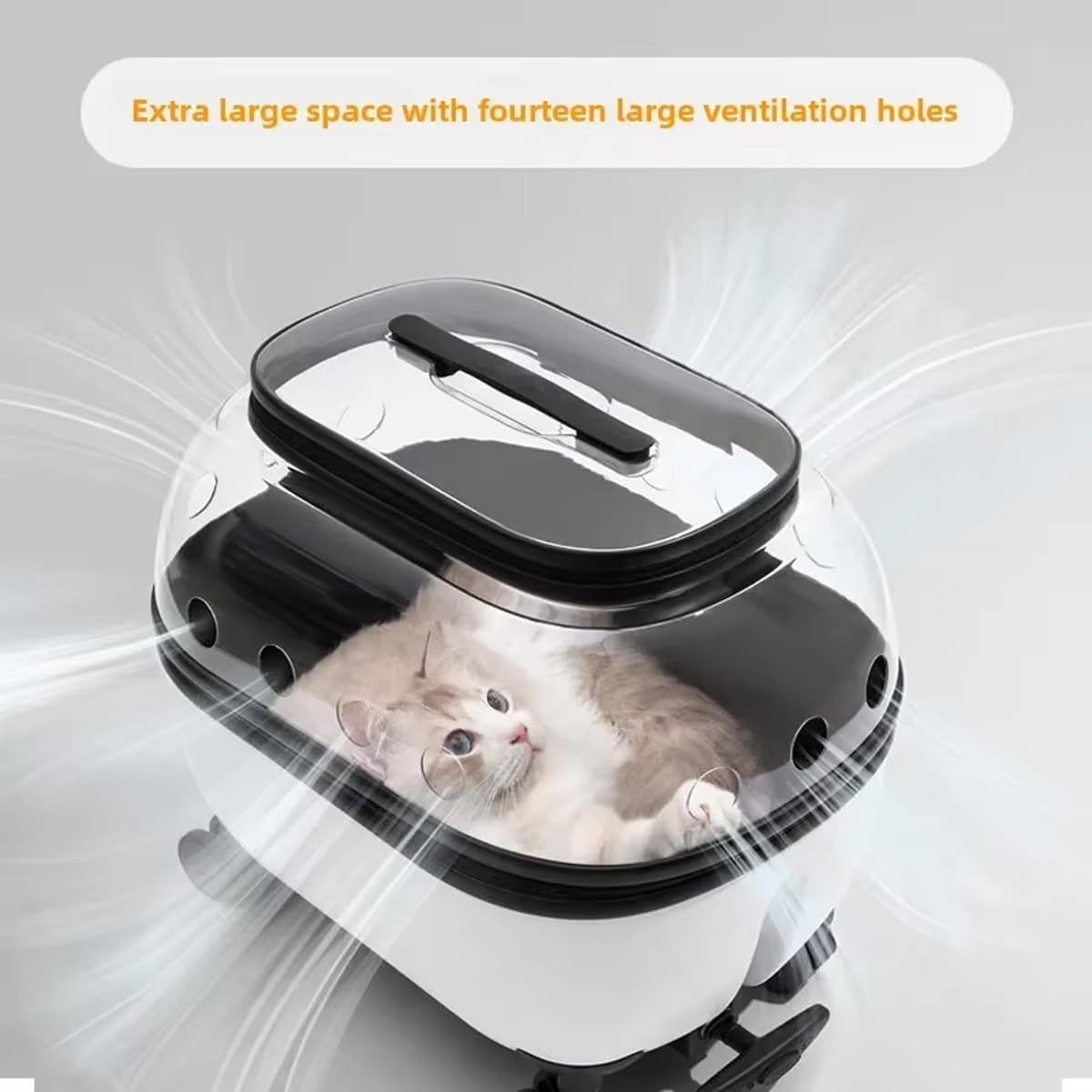 AIMALL Portable Pet Trolley Carrier with Wheels Retractable Handle Ventilated Travel Box for Cats Small Dogs Lightweight Transport Case with Skylight Design 19.7X14.6X18.5In image number 1