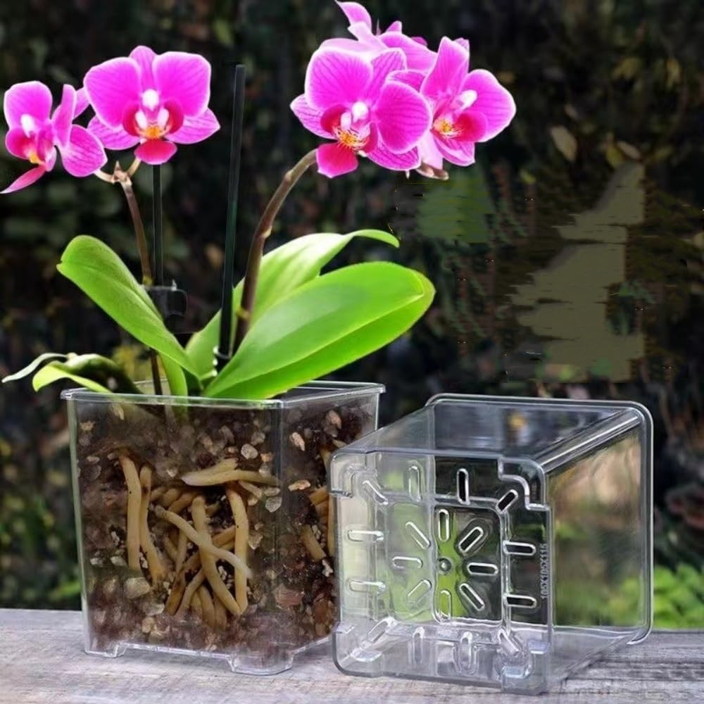 3PCS Clear Plant Pots with Drainage Holes, 5/4/3.5 Inch Clear Pots for Plants, Acrylic Transparent Plastic Plant Pots Square for House Plants, Flowers with 6Pcs Labels image number 5