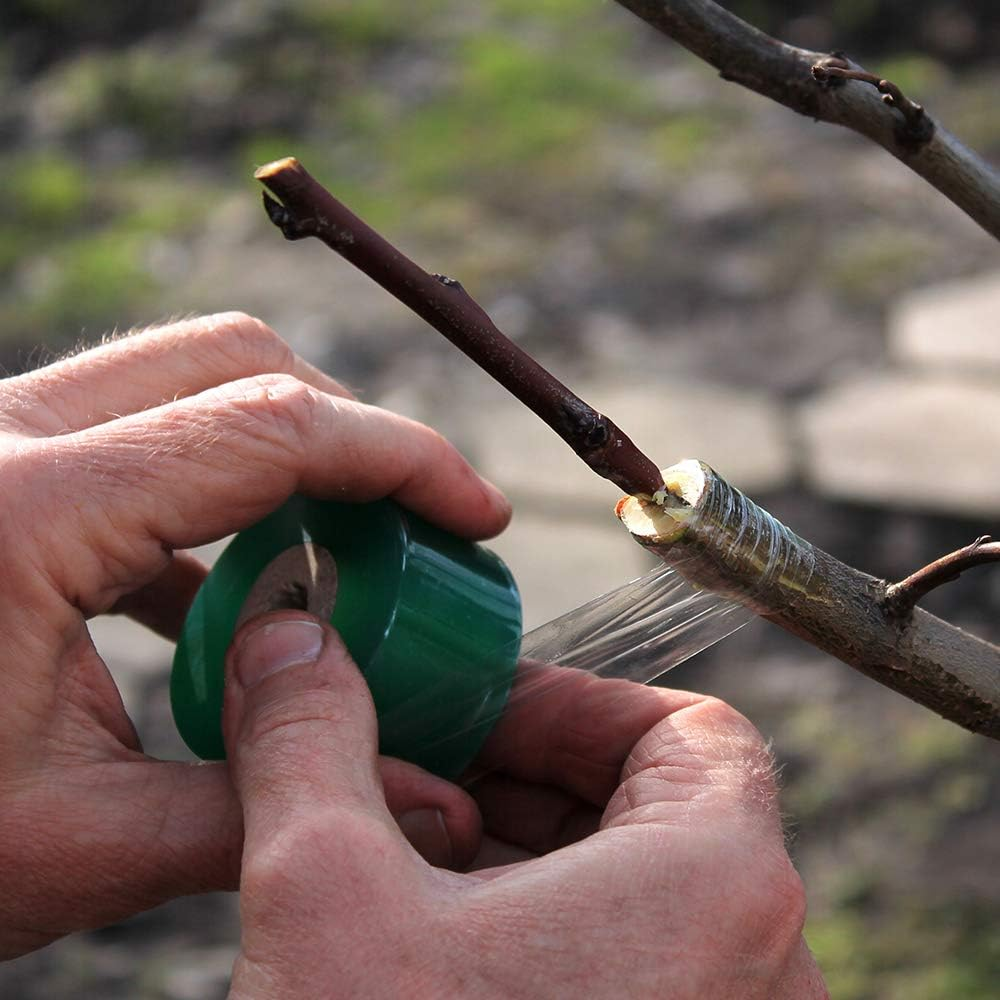 HAINABC Grafting Tape 2 PCS, Stretchable Garden Grafting Tape Plants Repair Tapes for Floral Fruit Tree and Poly Budding Tape - Green & White image number 3