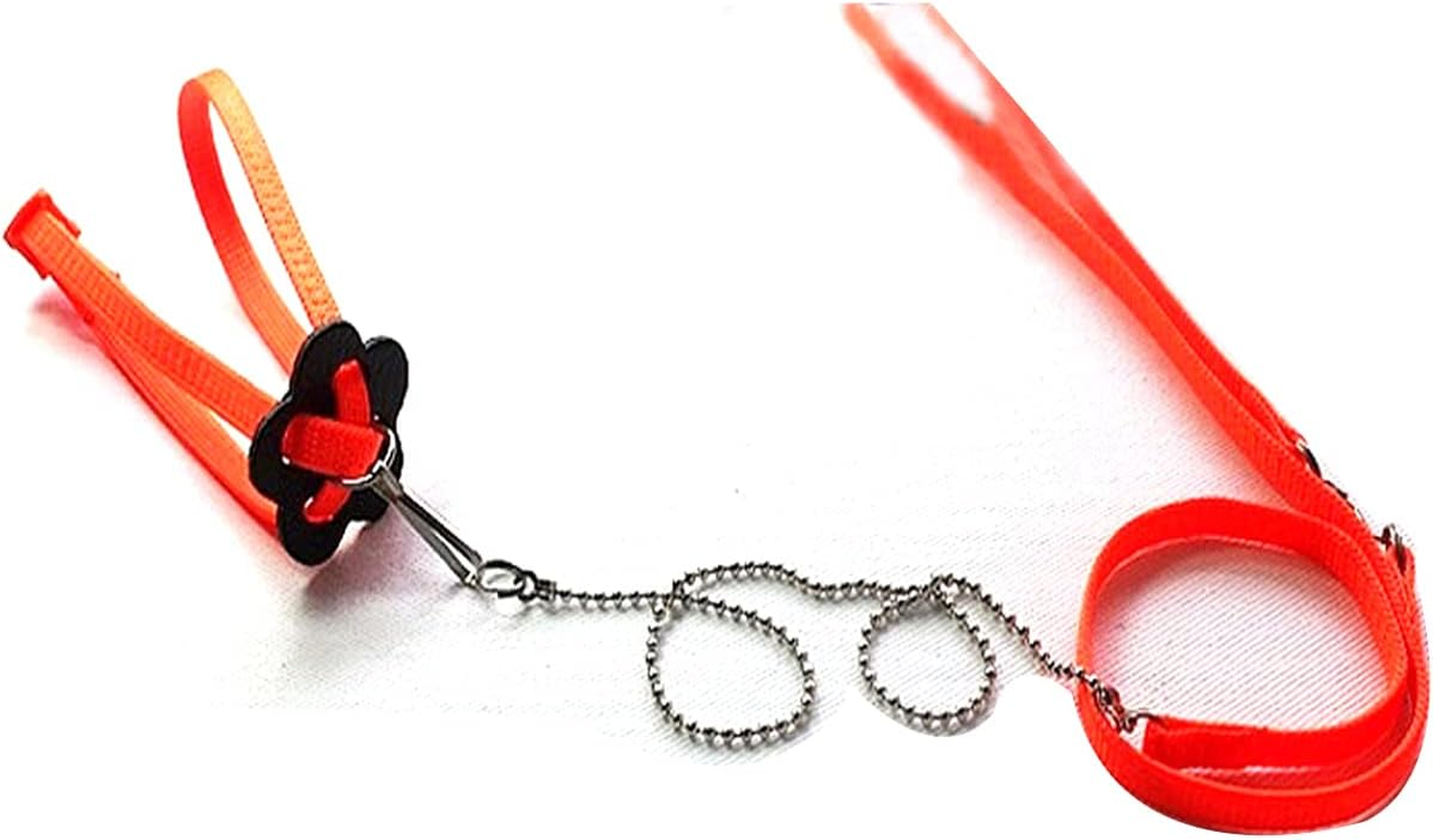 Homoyoyo Reptiles Lizard Leash Adjustable Flying Anti- Bite Training Rope 1. 2M Bird Harness and Leash 1.2M Lizard Harness Small Animal Harness Lizard Vest Harness Animal Leashes Wing Strap