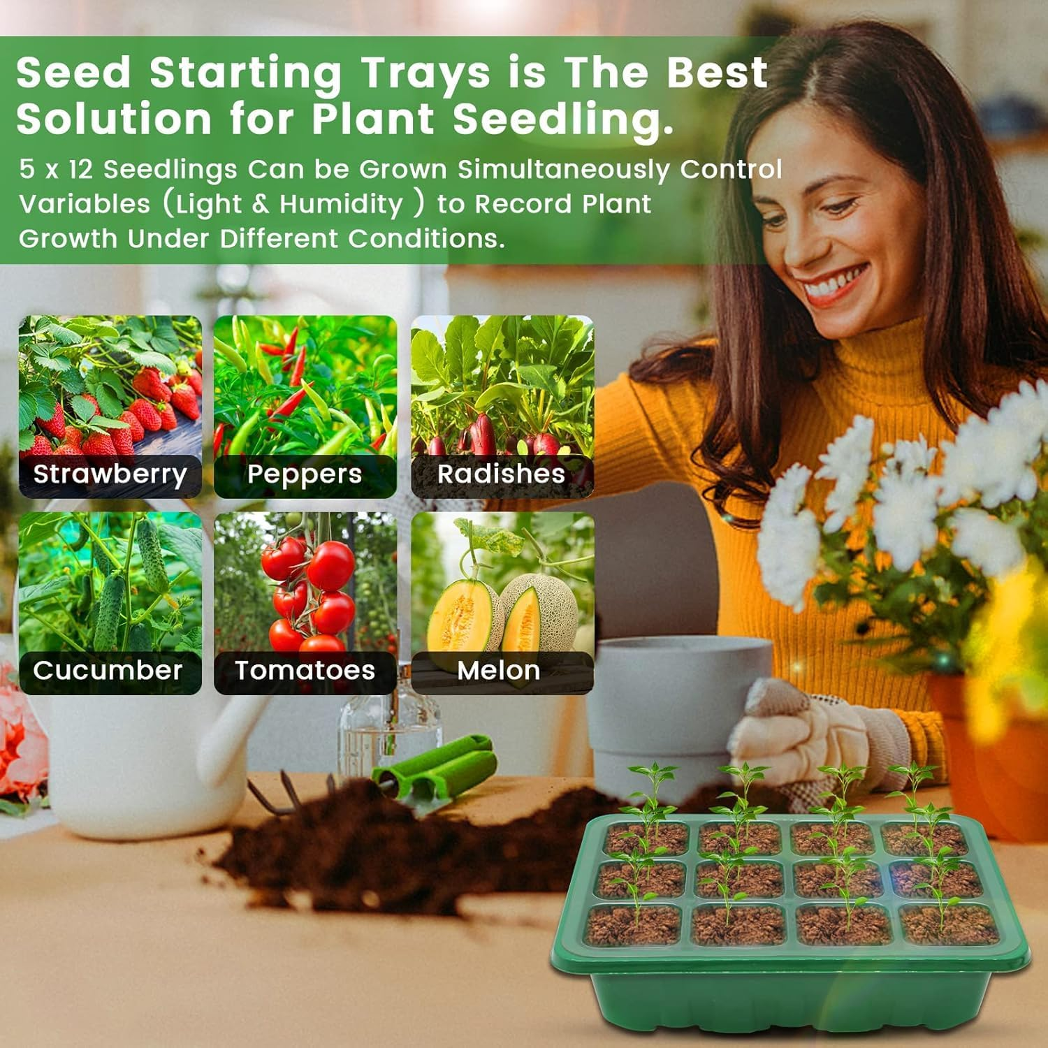 Seed Trays with Grow Light, 5 Pack 60 Cells Growing Trays Propagator Growing Thicken Seedling Starter Adjustable Brightness & Humidity,2 Meters Timing Controller for Greenhouse Grow Plant Seed image number 4