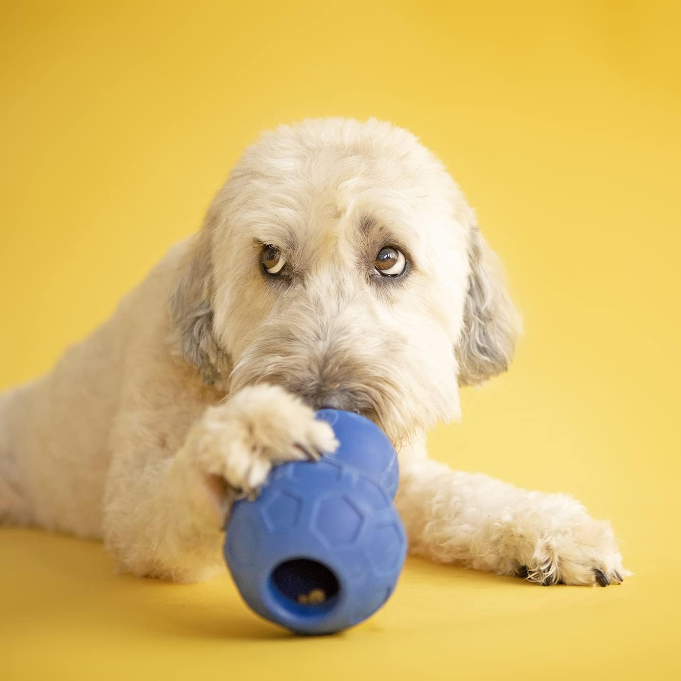 JW Pet Puzzler Dog Toy, Blue, Large image number 6