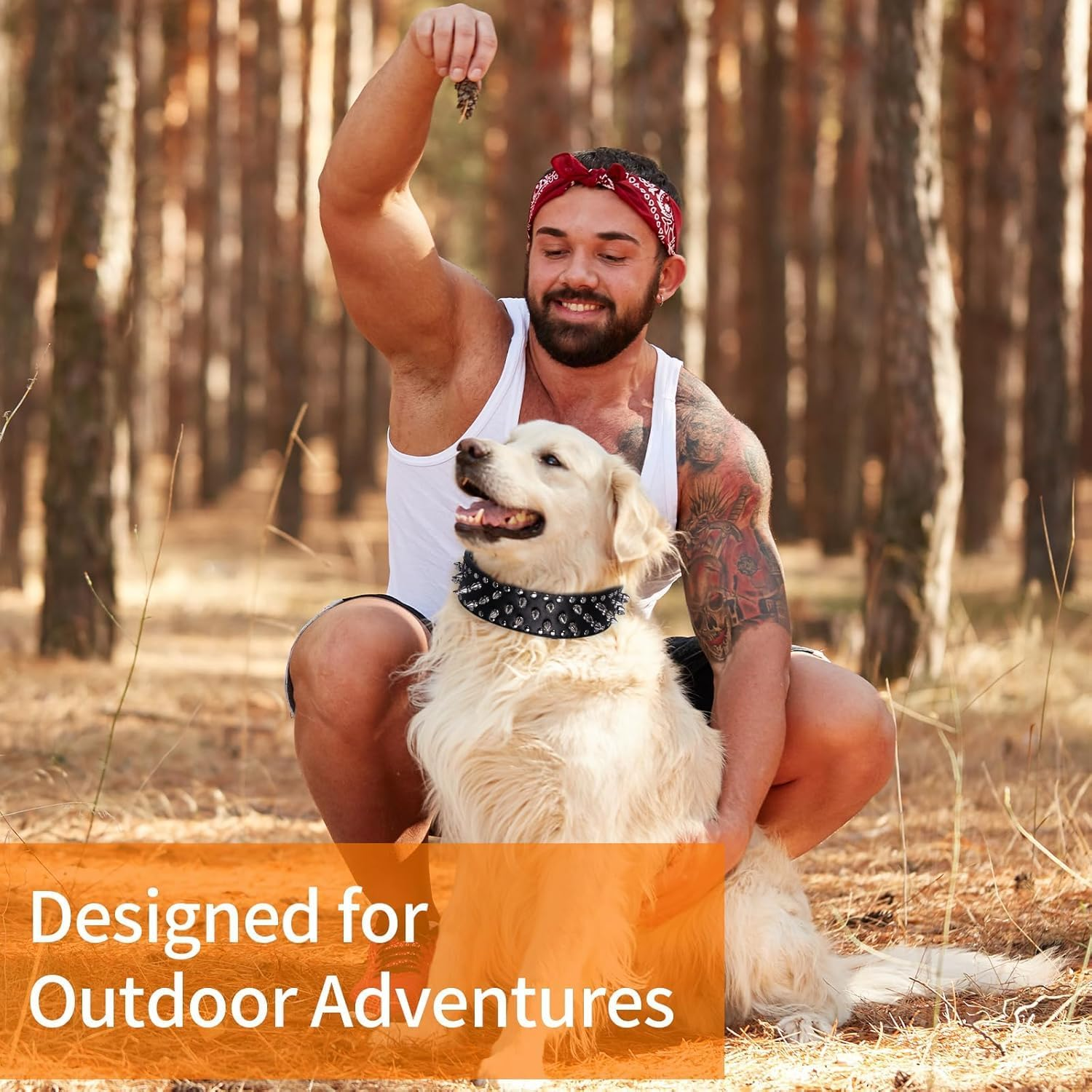 Upgraded Version Spiked Studded Leather Dog Collar with Leash, Rivet PU Leather Dog Collars for Pit Bull, Durable Leather Cat Collar Spiked Studded for Small Medium Large Pet (Black, M) image number 1