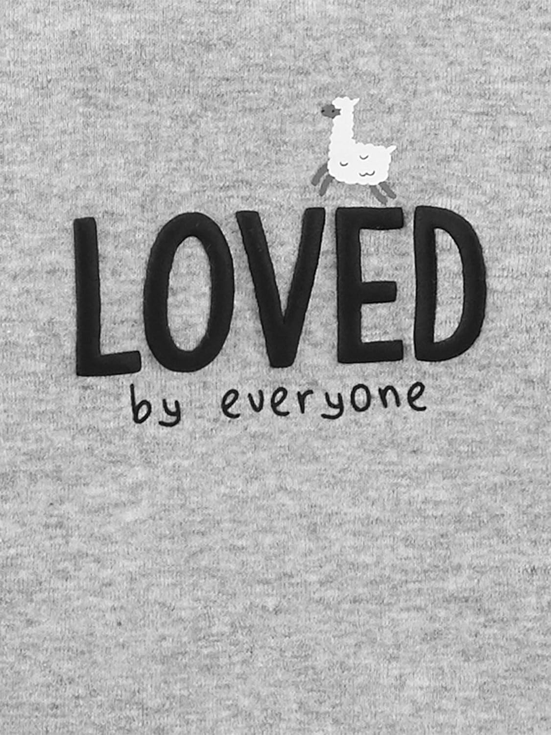 Simple Joys by Carter'S Unisex-Baby 6-Piece Bodysuits (Short and Long Sleeve) and Pants Set image number 5