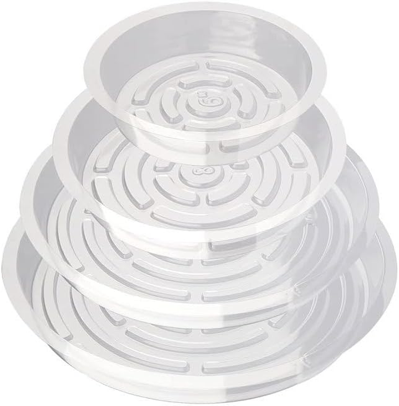 24 Pcs Clear Plastic Plant Pot Saucers, 6,8,10,12 Inch 4 Size Plant Saucers Flower Pot Tray No Holes Water Catcher Trays Suitable for Indoor and Outdoor Garden Container Planters. image number 1