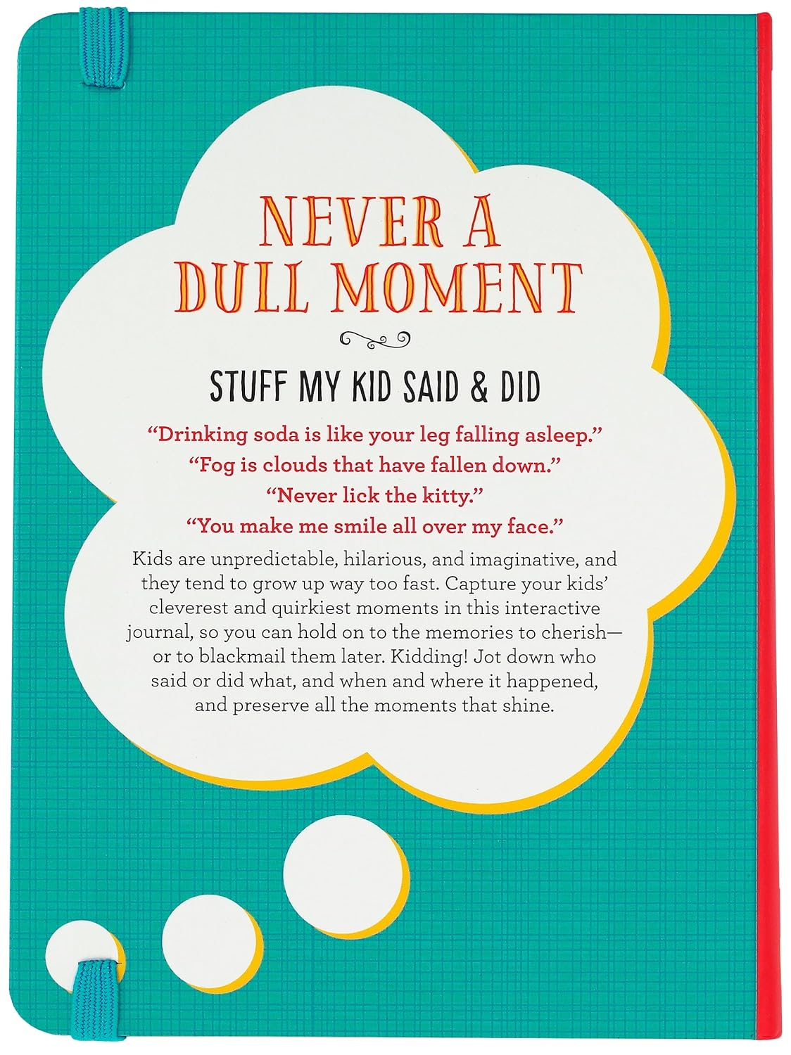 Never a Dull Moment (Stuff My Kid Said & Did) image number 4