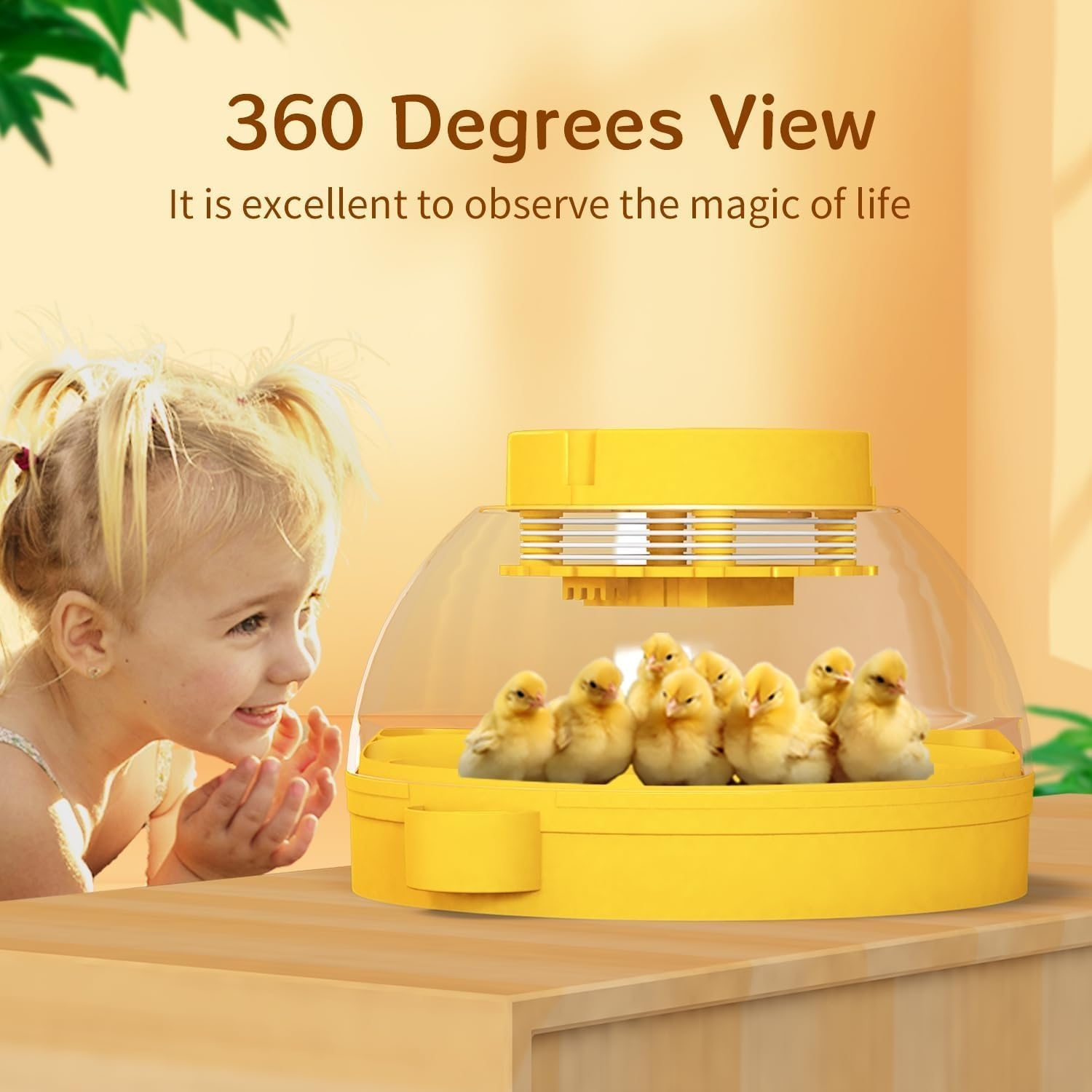 16 Egg Incubator with Automatic Egg Turning and Humidity Control,Incubators for Hatching Eggs,Incubator for Chicken Eggs,Duck,Quail, Pigeon image number 4