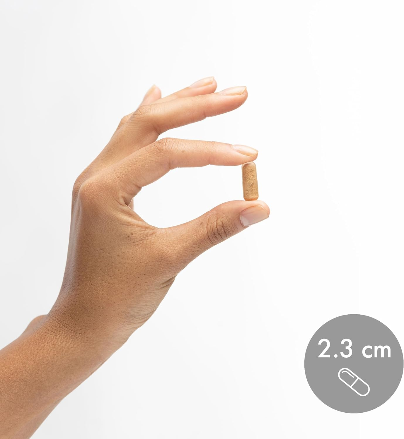 Dr. Mercola, Liver Support, 30 Servings (60 Capsules), Non GMO, Soy-Free, Gluten-Free, 60 Count (Pack of 1)