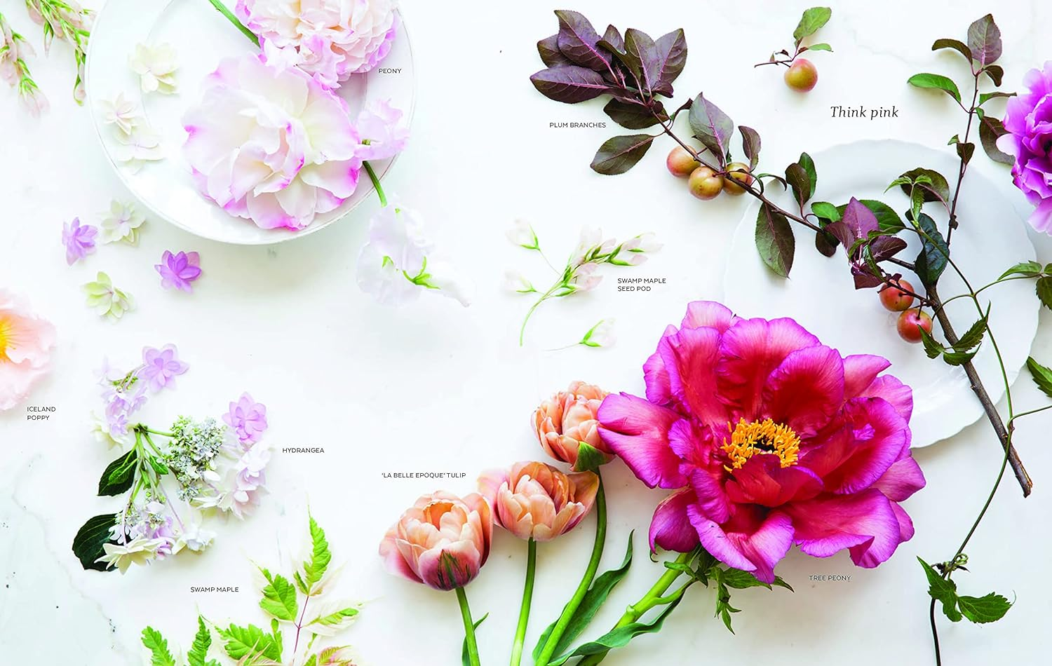 The Flower Workshop: Lessons in Arranging Blooms, Branches, Fruits, and Foraged Materials image number 6