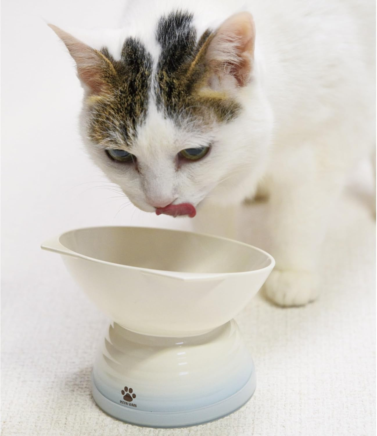 Miyamoto Sangyo Miya Wan Cat Foods Bowl Pale Blue 601657 image number 1