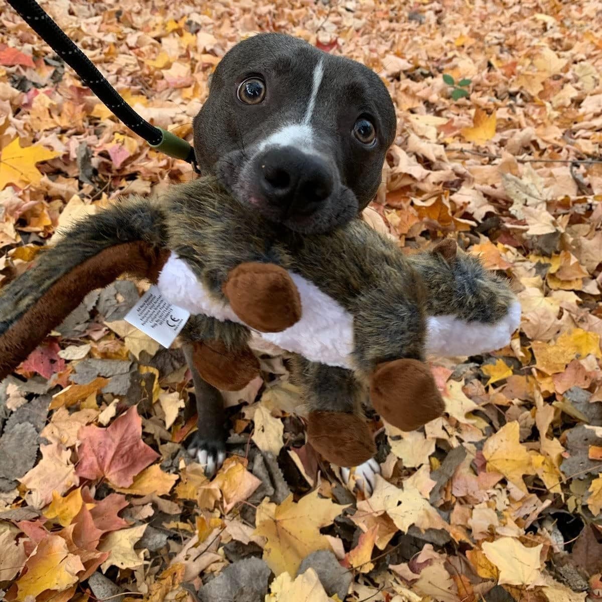 Smartpetlove Tender-Tuffs Nature - Large Realistic Plush Dog Toys (Otter) image number 5