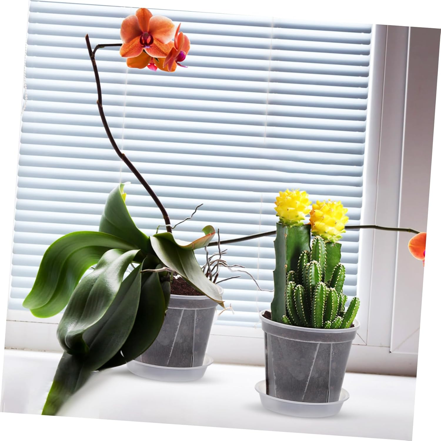 Outanaya 4 Pcs Plastic Plant Pots with Drainage Tray for Indoor and Outdoor Gardening, 0.3 Gallon Nursery Flower Planters with Holes for Airflow and Root Control image number 5