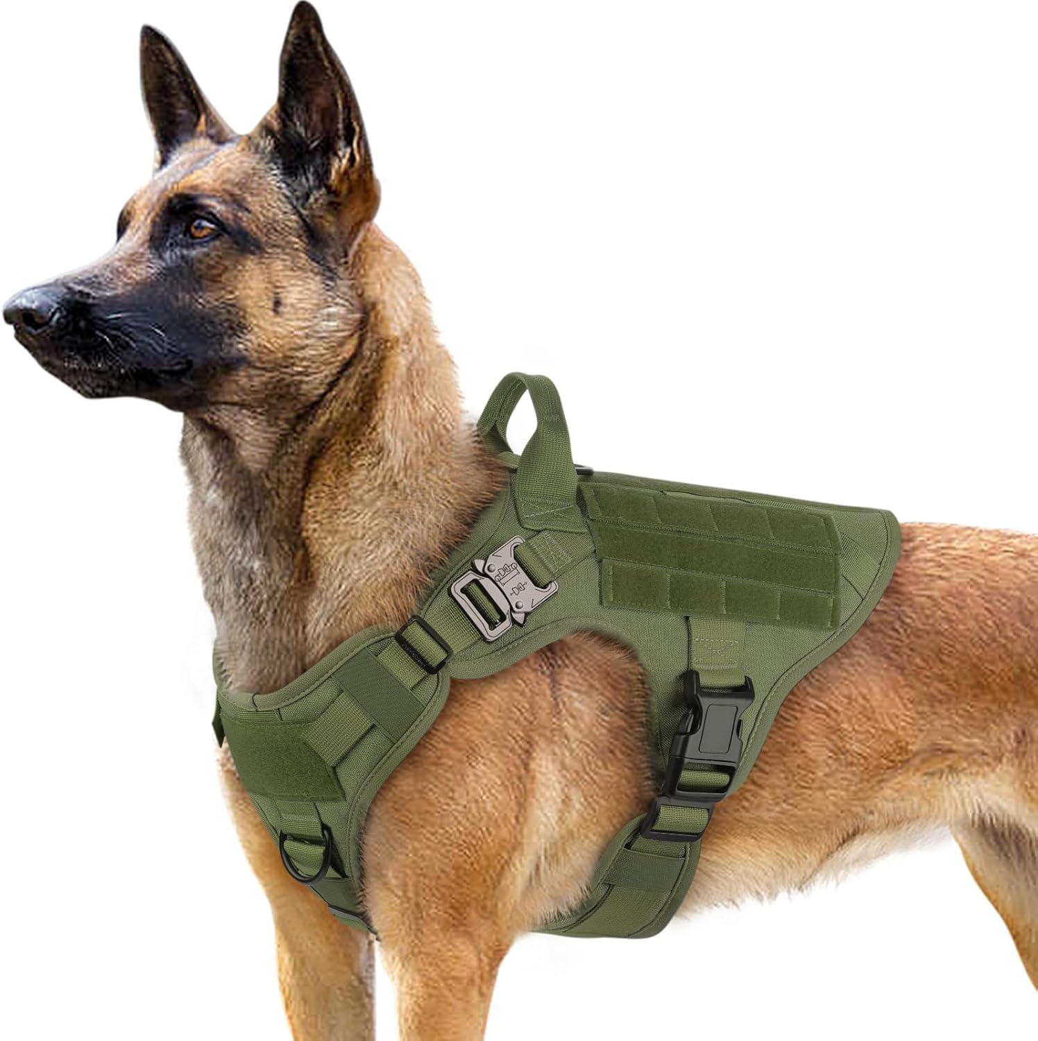 Rabbitgoo Tactical Dog Harness for Medium Dogs, Military Dog Harness with Handle, No-Pull Service Dog Vest with Molle & Loop Panels, Adjustable Dog Vest Harness for Training Hunting Walking, Green, M