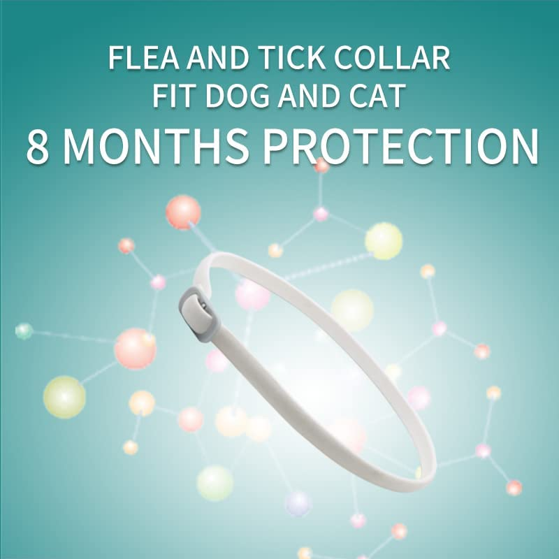 Pets4Luv Flea and Tick Collar for Dogs, Natural Flea and Tick Prevention for Dogs, 8 Months of Protection, One Size Fits All Dogs, Adjustable and Waterproof Design 3PCS image number 1
