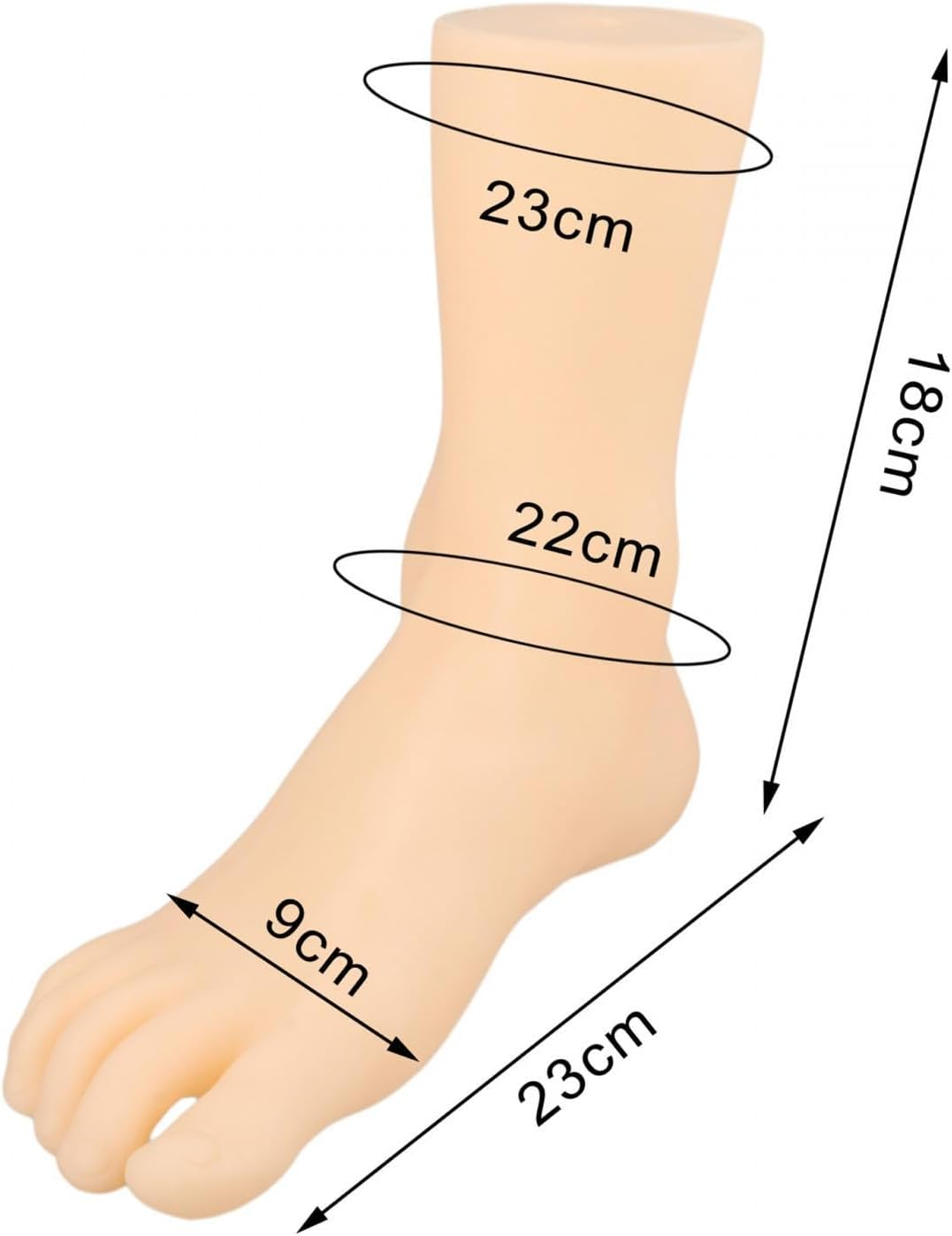 Eigell Foot Model, Women Mannequin Foot Display, Simulation Ankle Bracelet Shoes Sock Display for Shoes Socks Toe Rings Chains, Right Style A image number 5