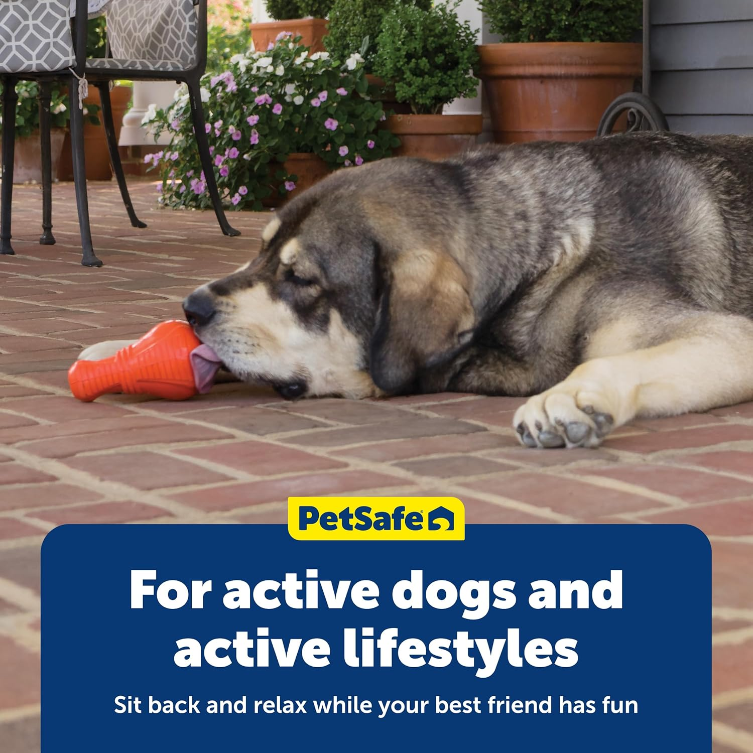 Petsafe Squeak N&rsquo; Treat Booya - Cure Boredom & Reduce Separation Anxiety - Food-Dispensing Dog Toy - Squeaker Encourages Play - Slow down Eating - Helps Clean Teeth - Dishwasher Safe - Medium image number 3