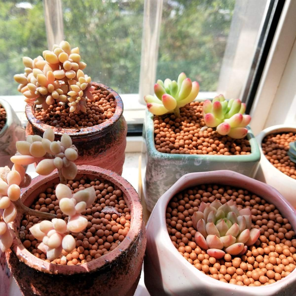 Clay Pebbles Gardening Ceramsite Orchid Hydroponic Grow Media Clay Rocks Drainage Water Purification Ceramsite Decor Cultivation Soil Stone Horticultural Grade for Soil Hydroponics Aquaponics 2.2Lb image number 3