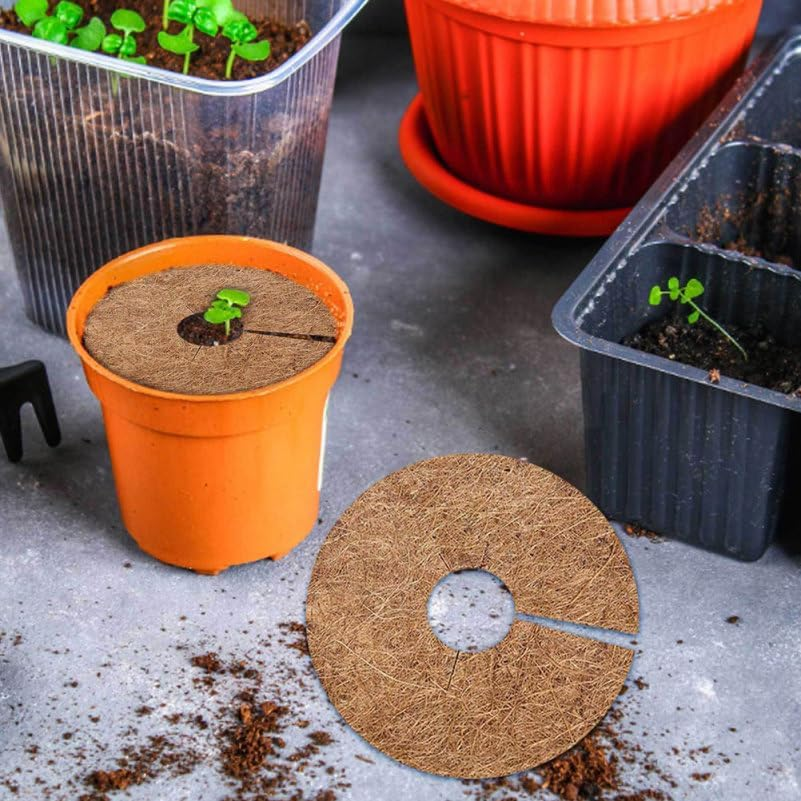 Mipcase 6 Pack Coconut Coir Mulch Ring Mats for Pots Plant Cover Mulch Mats Flower Pot Liner Round image number 6