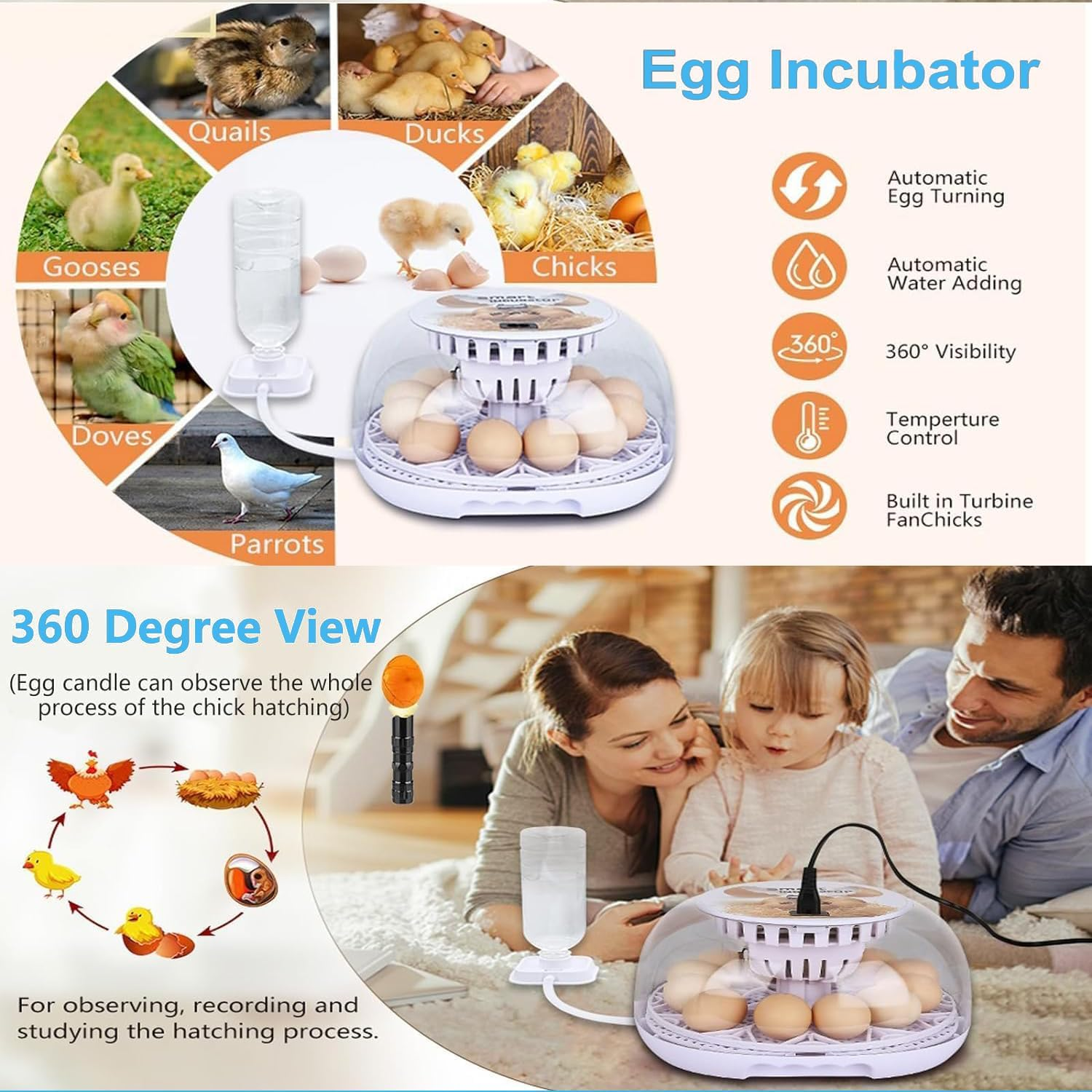 Premium Egg Incubator, Automatic Egg Hatching Incubator, 12 Eggs Poultry Hatcher with Automatic Temperature Control for Hatching, Chicken, Duck, Goose, Quail, Bird Eggs (Gray)