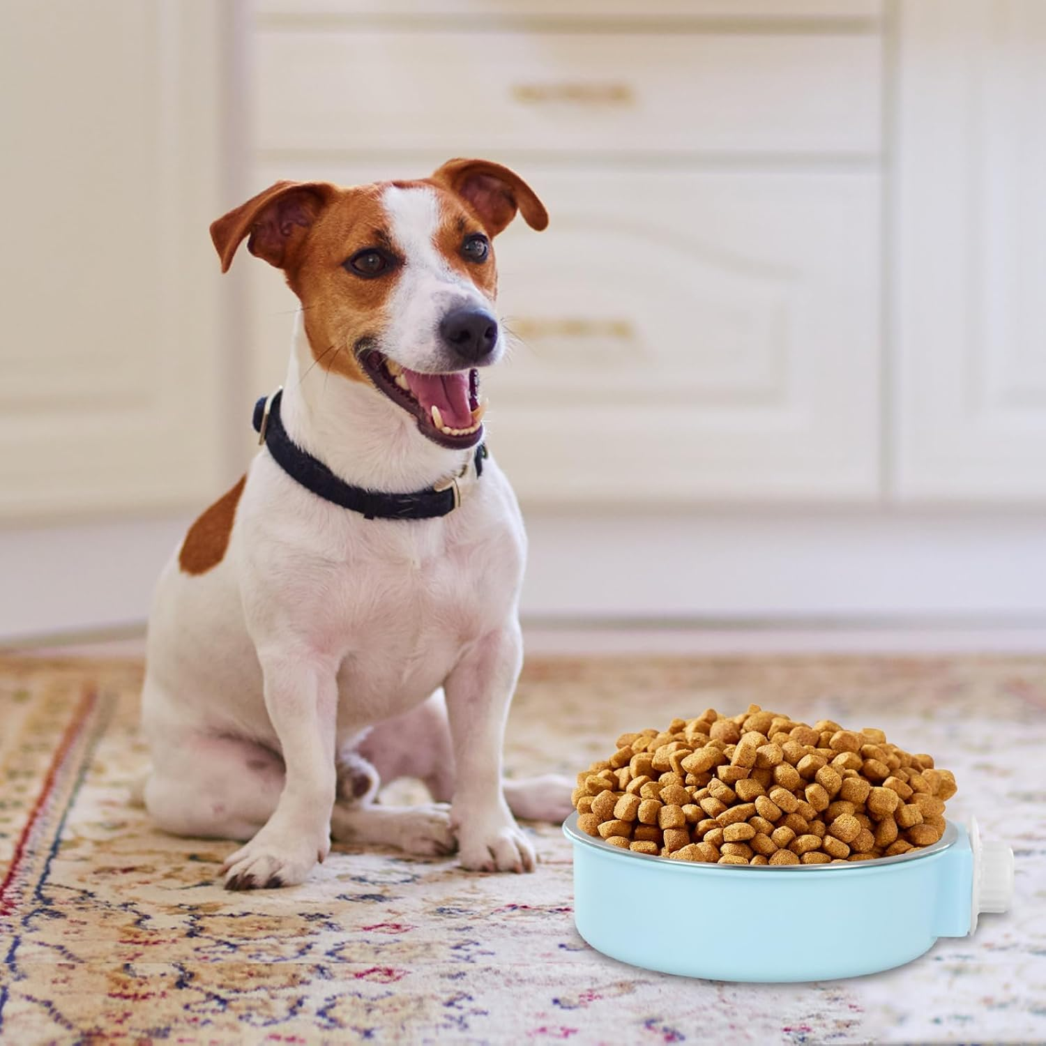 Anseom Pet Crate Water Bowls 2 Pcs, Large Capacity Dog Cage Water Bowls Removable Stainless Steel Hanging Cat Feeding Bowls with Bolt Holder for Dogs Cats Small Animals Blue and Green image number 4