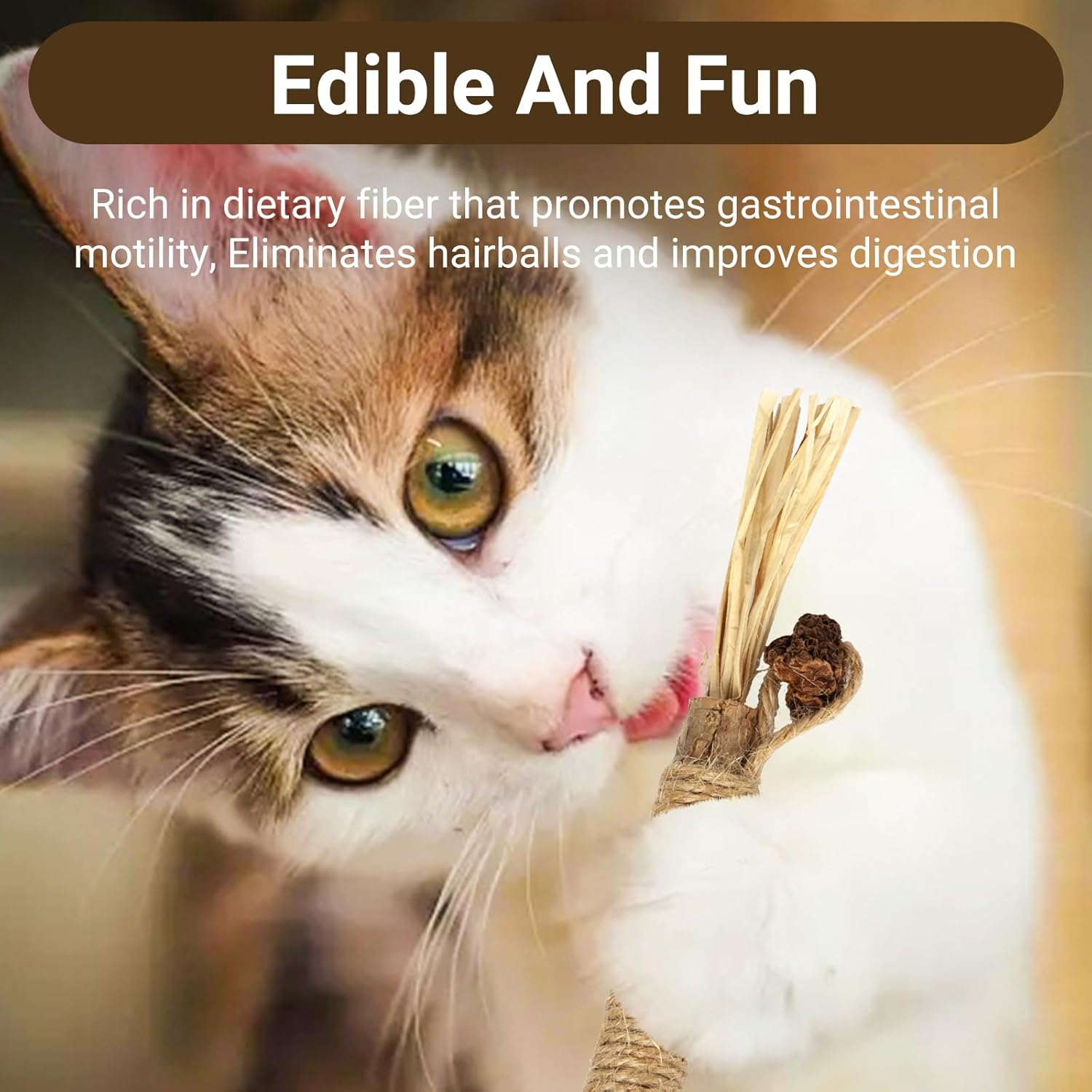 6 Pack Natural Silvervine Chew Sticks for Cats, Catnip Toys for Indoor Cats, Kitten Teeth Cleaning image number 5