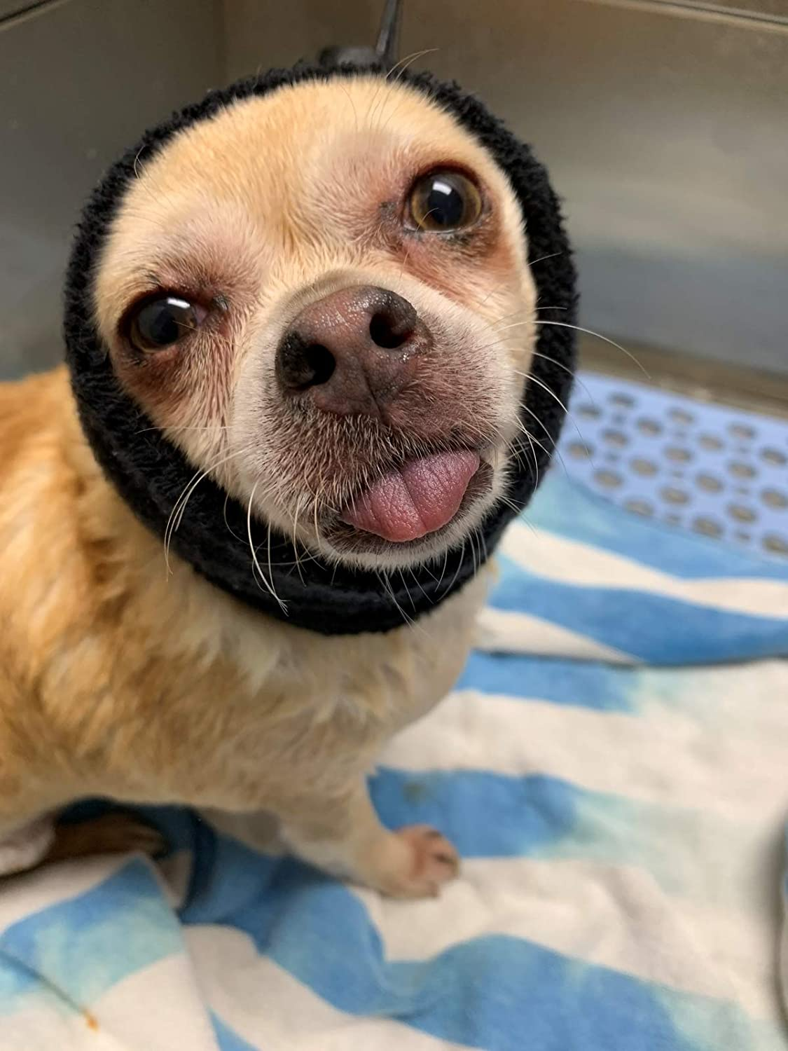 Happy Hoodie Black, Pack of 2 image number 1