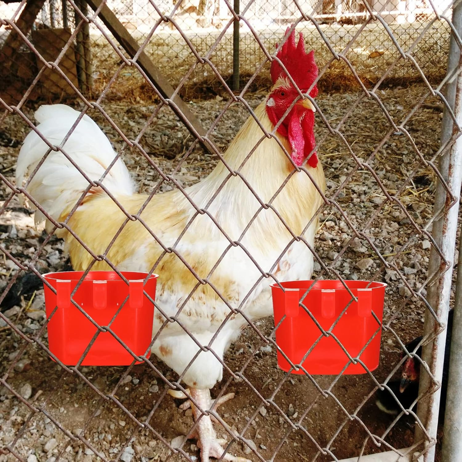 30 Pcs Cage Cups Birds Feeders Bird Water Dispenser Hanging Quail Waterer Plastic Chicken Feeding Watering Dish for Small Coop Parrot Parakeet PET Poultry Pigeon Gamefowl Food Seed Bowl Supplies, Red image number 6