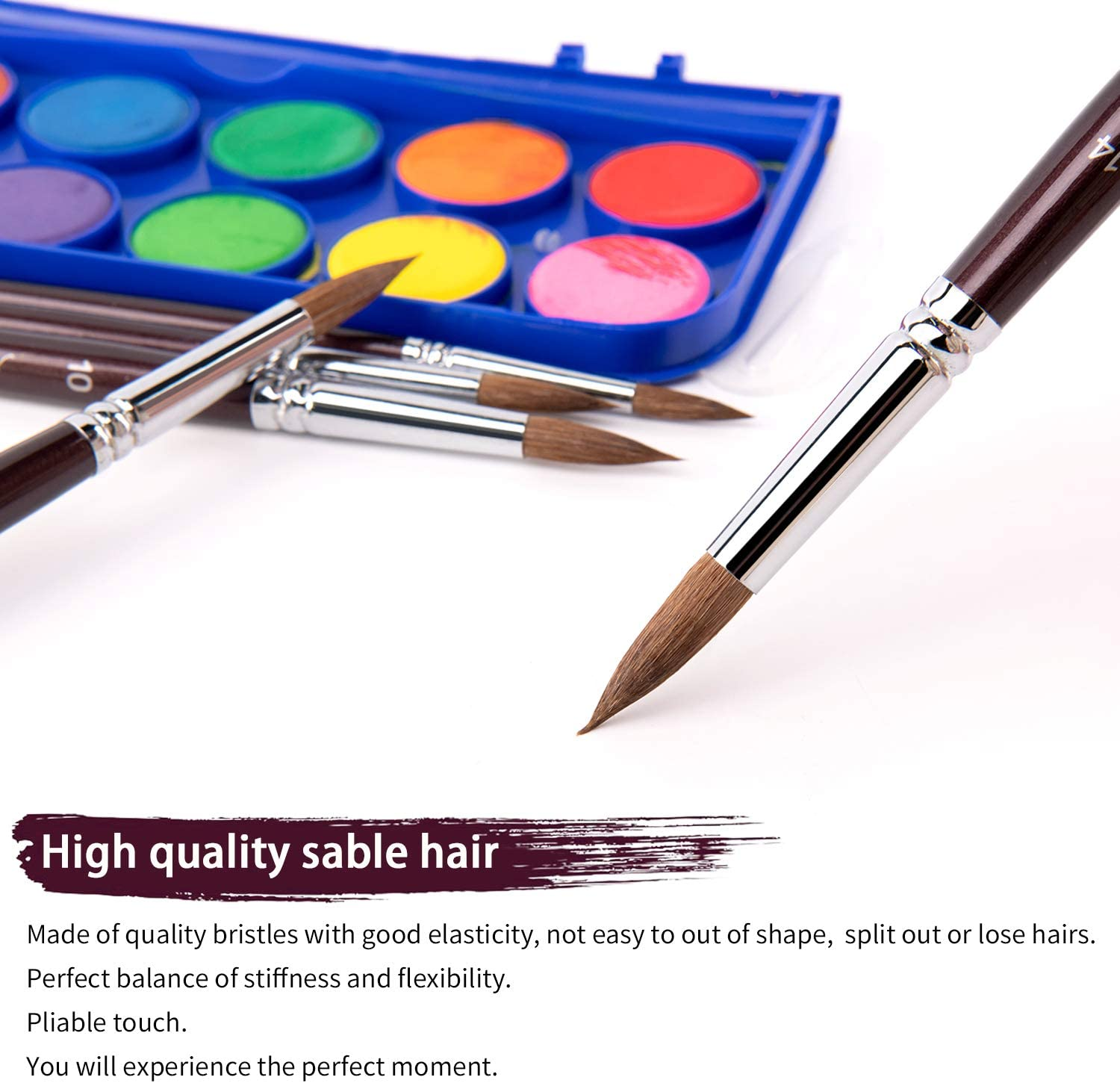 Sable Watercolour Brushes- 9Pcs Professional Detail to Mop round Paint Brush Set, Sable Hair Brush,Watercolour Brushes Perfect for Watercolours, Acrylics, Inks, Gouache, Oil Painting and Tempera image number 5