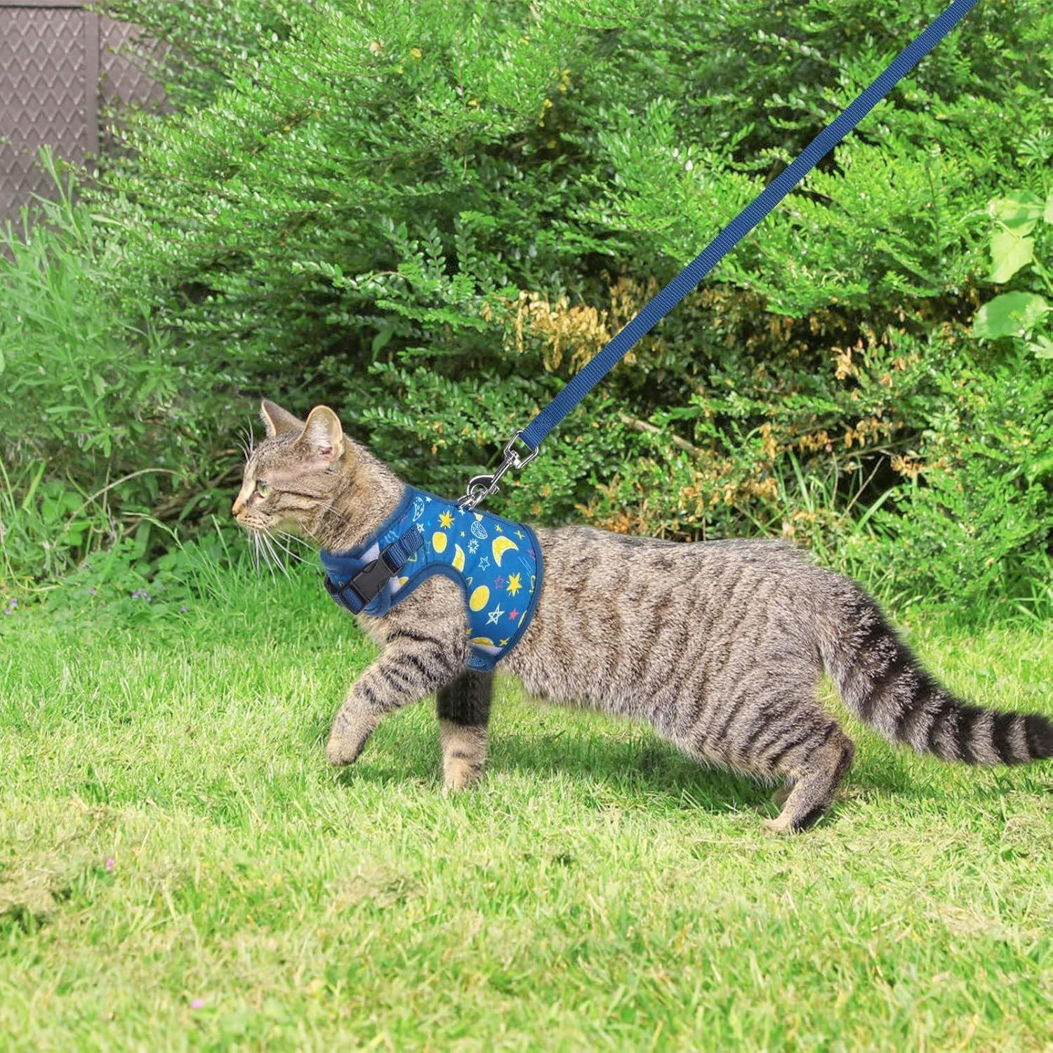 BINGPET Cat Harness with Leash Escape Proof - Fashionable Mesh Cat Dog Walking Harness Leads, Adjustable for Kitties Puppies Small Animals,Galaxy,L image number 3